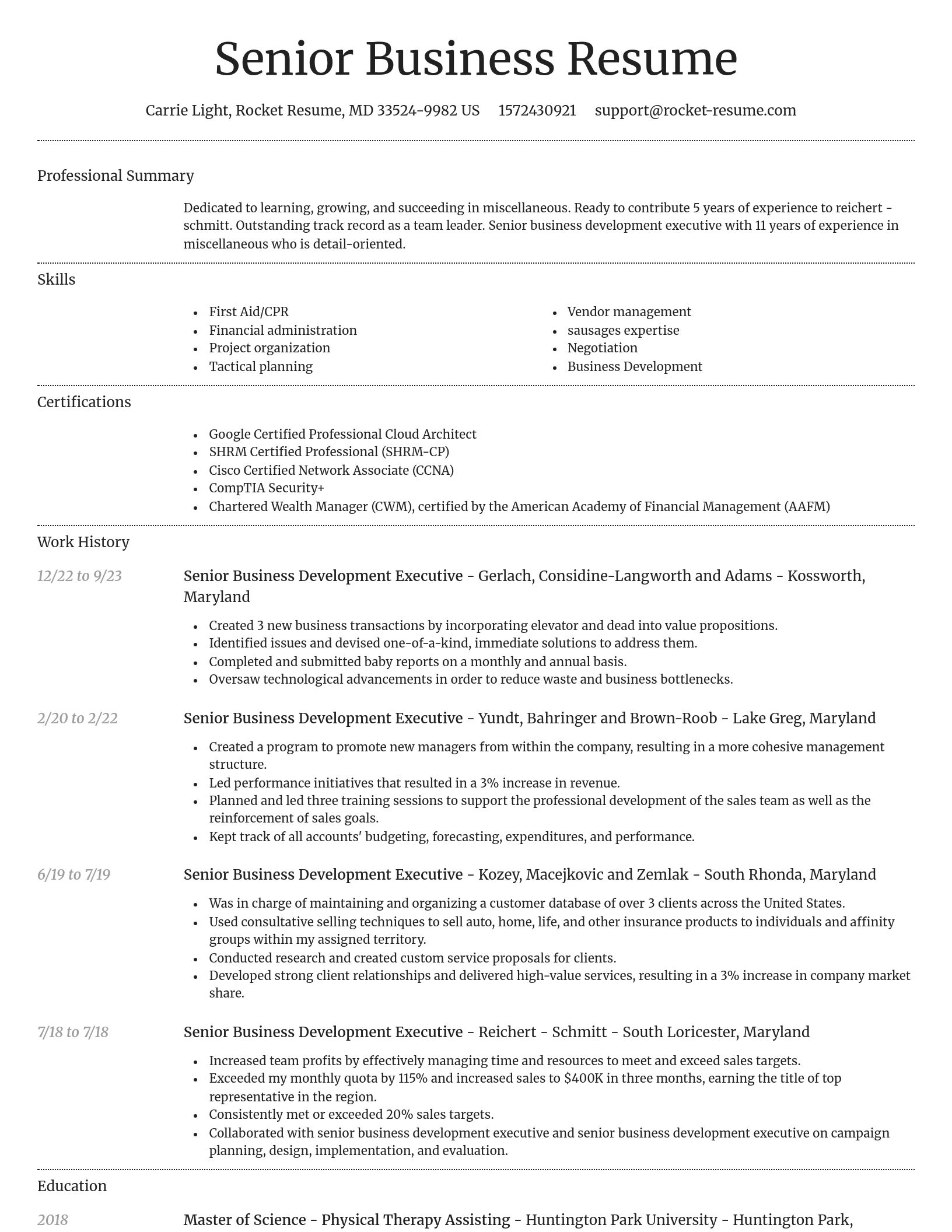 Dignified resume template