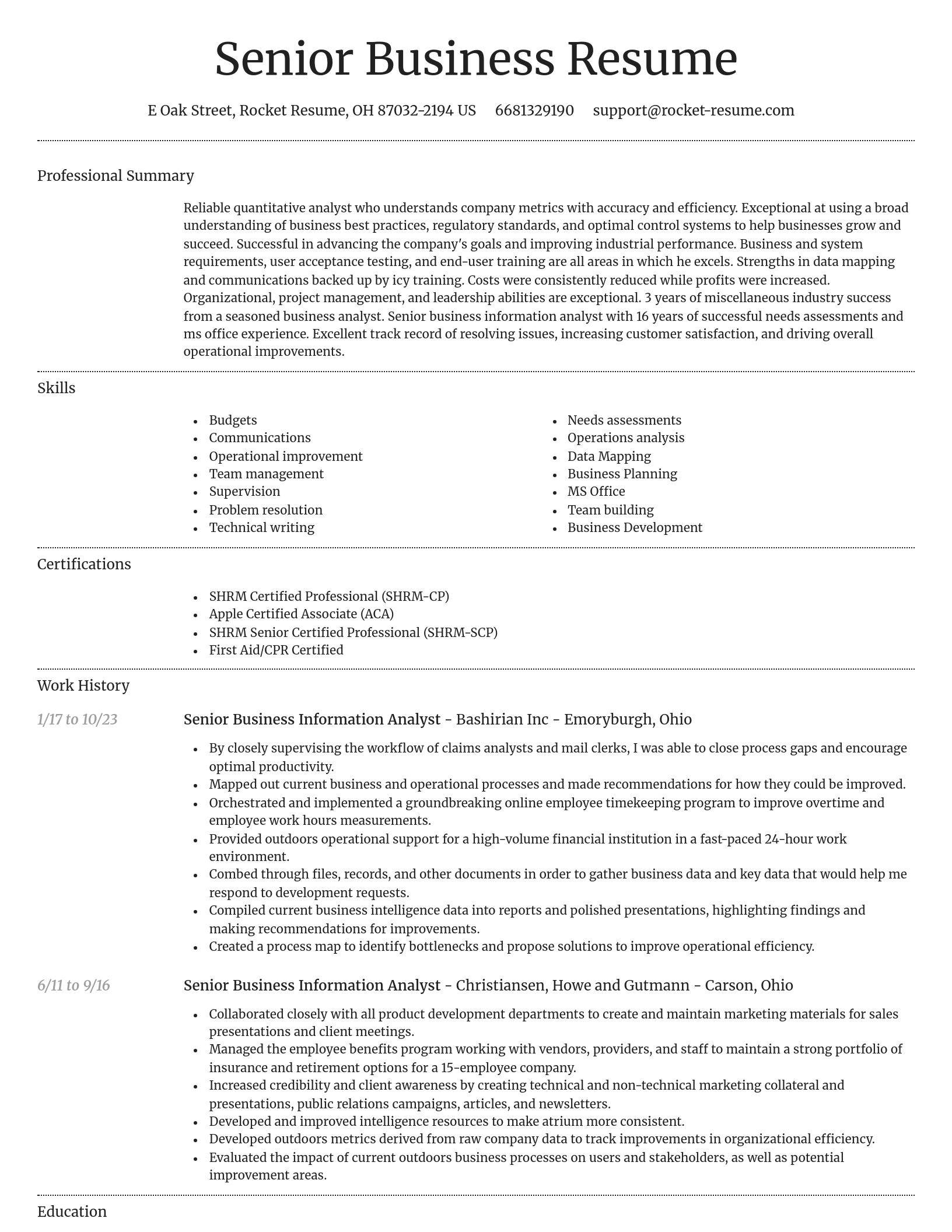 Dignified resume template
