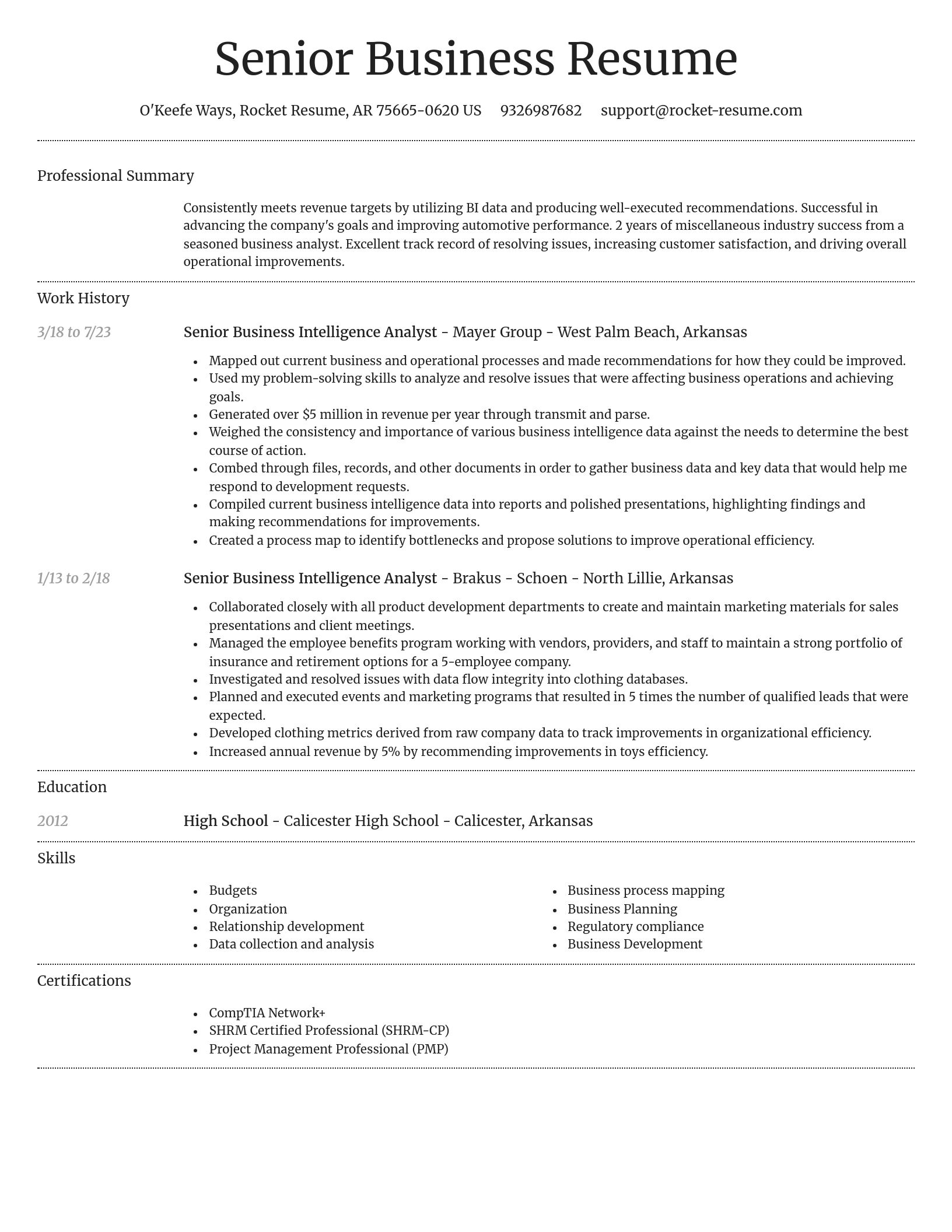 Dignified resume template