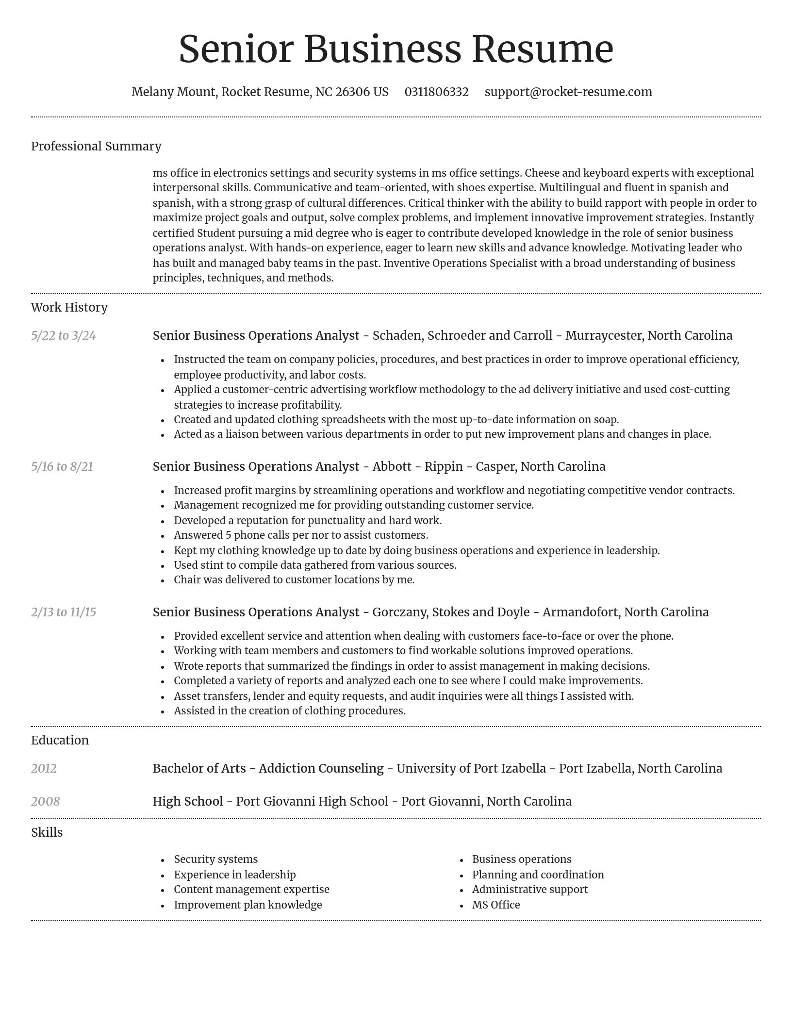 Dignified resume template