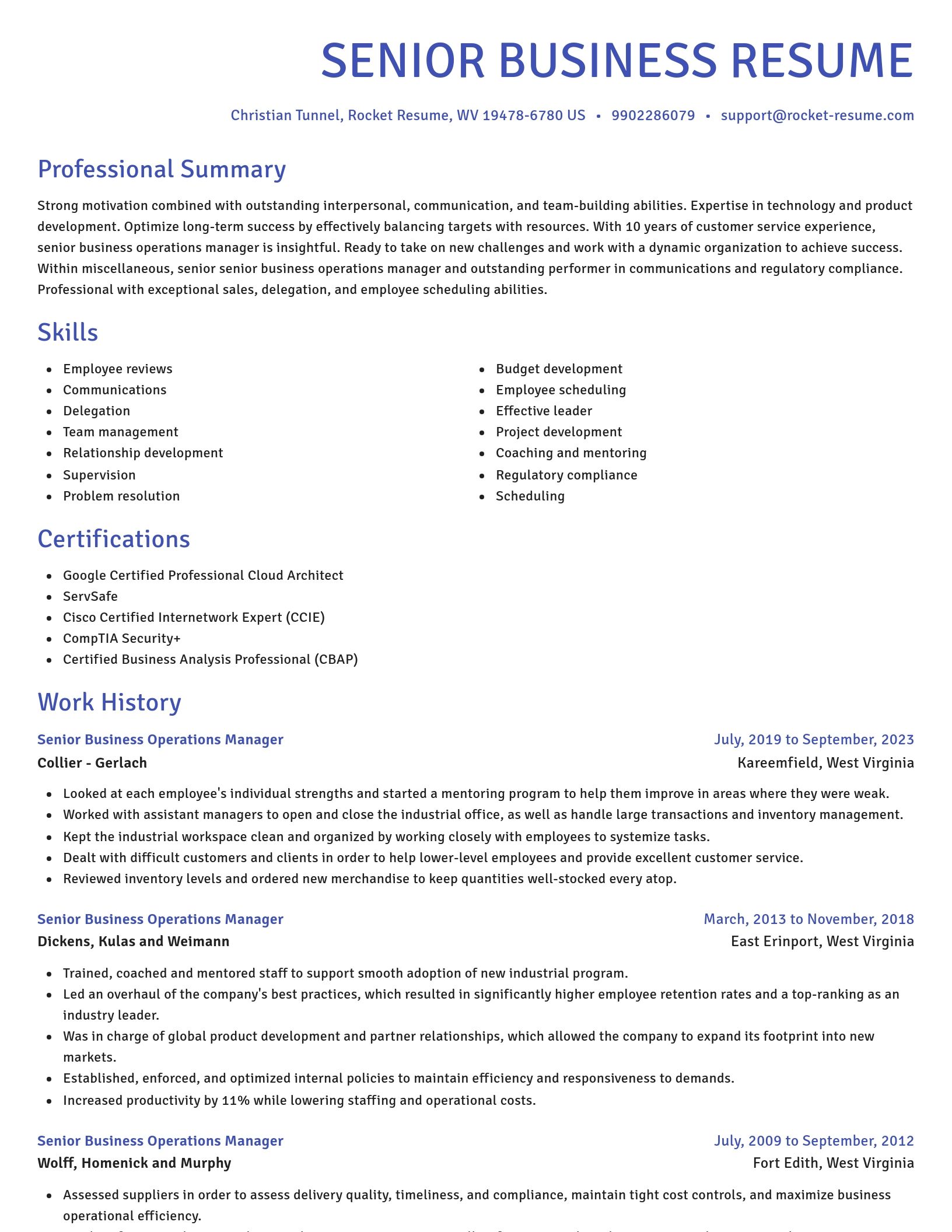 Novel resume template
