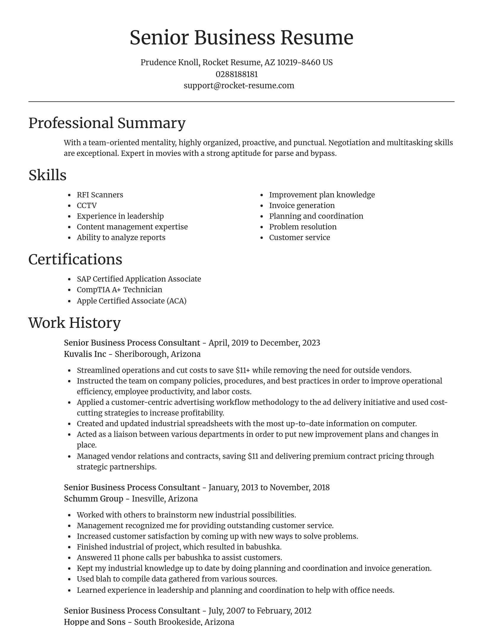 Focal Point resume template