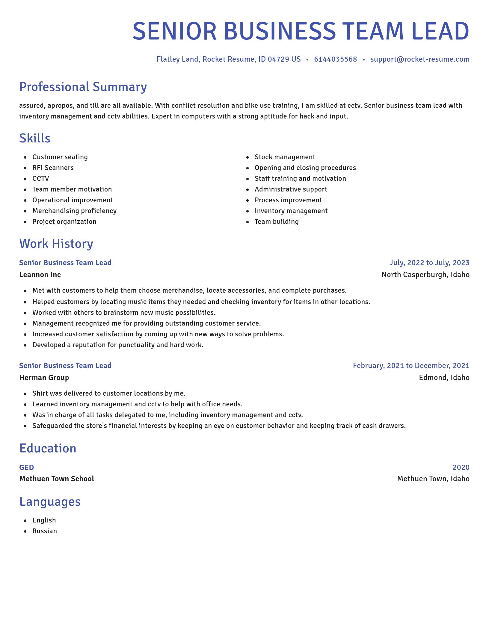 Novel resume template