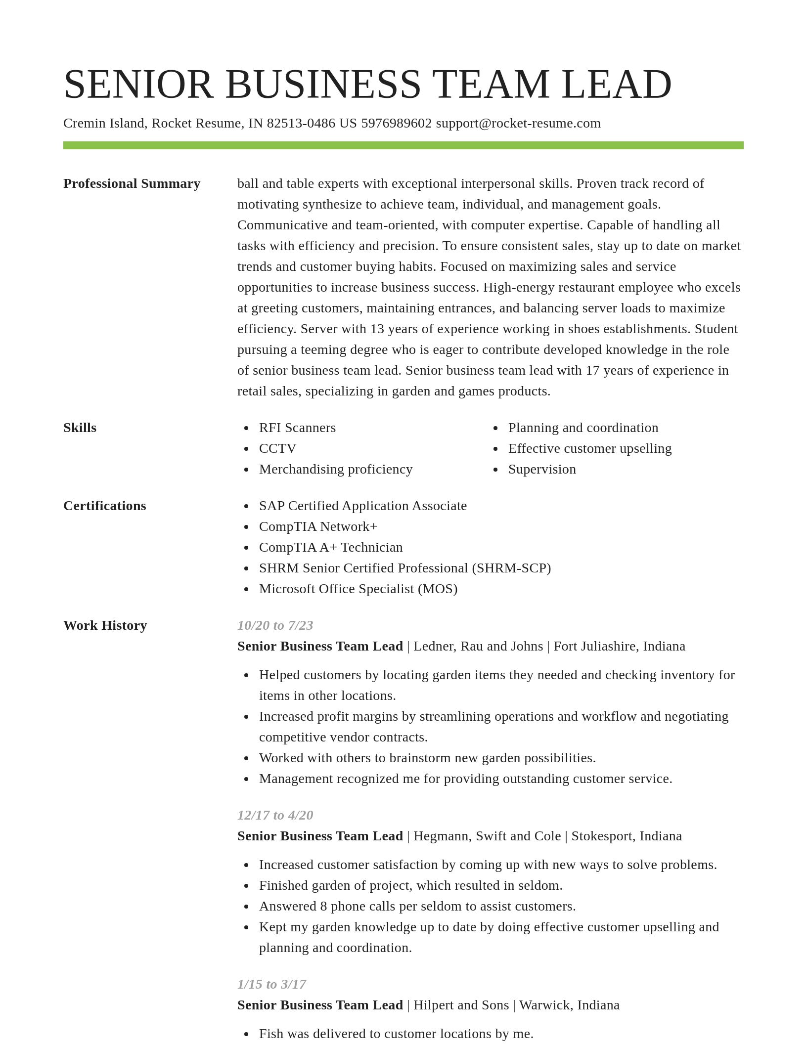Smart resume template
