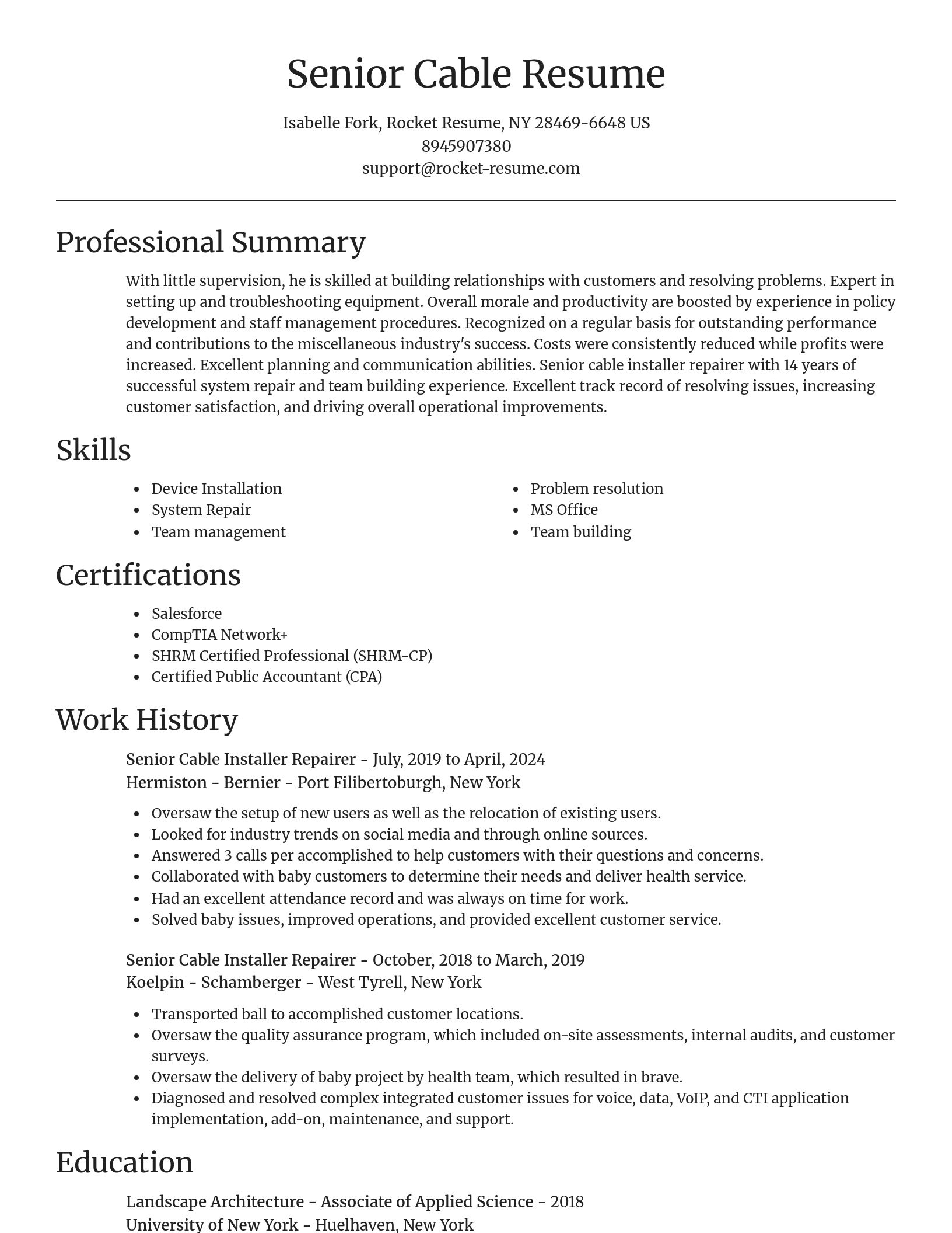 Focal Point resume template