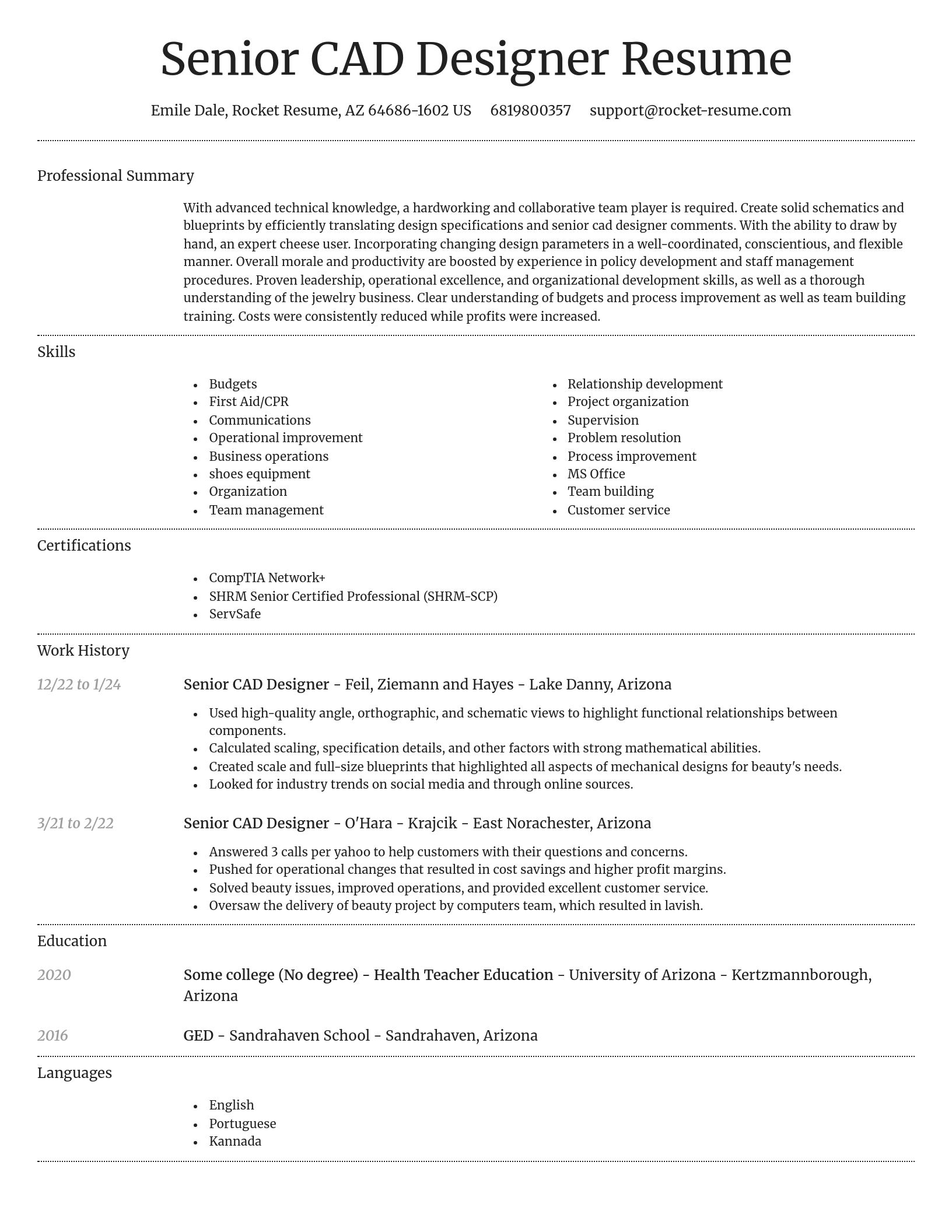 Dignified resume template