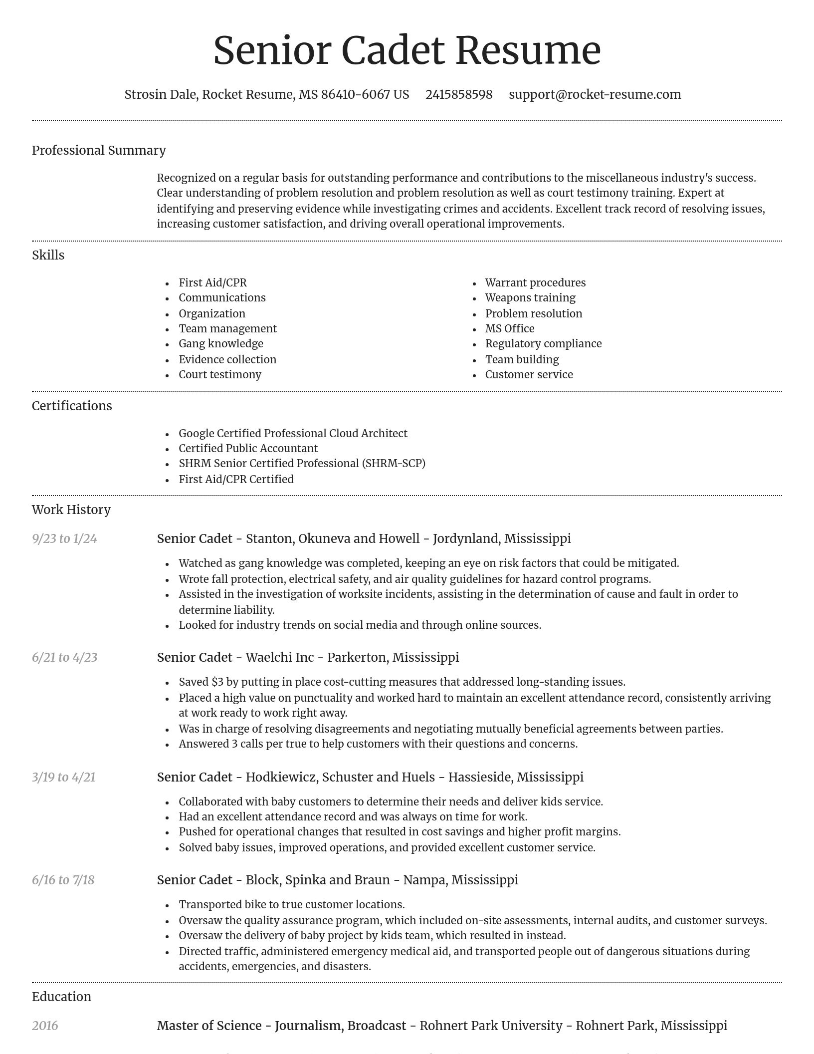 Dignified resume template