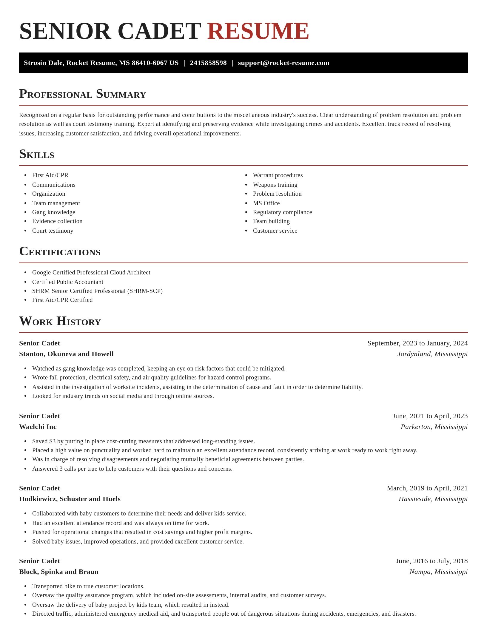 Exquisite resume template