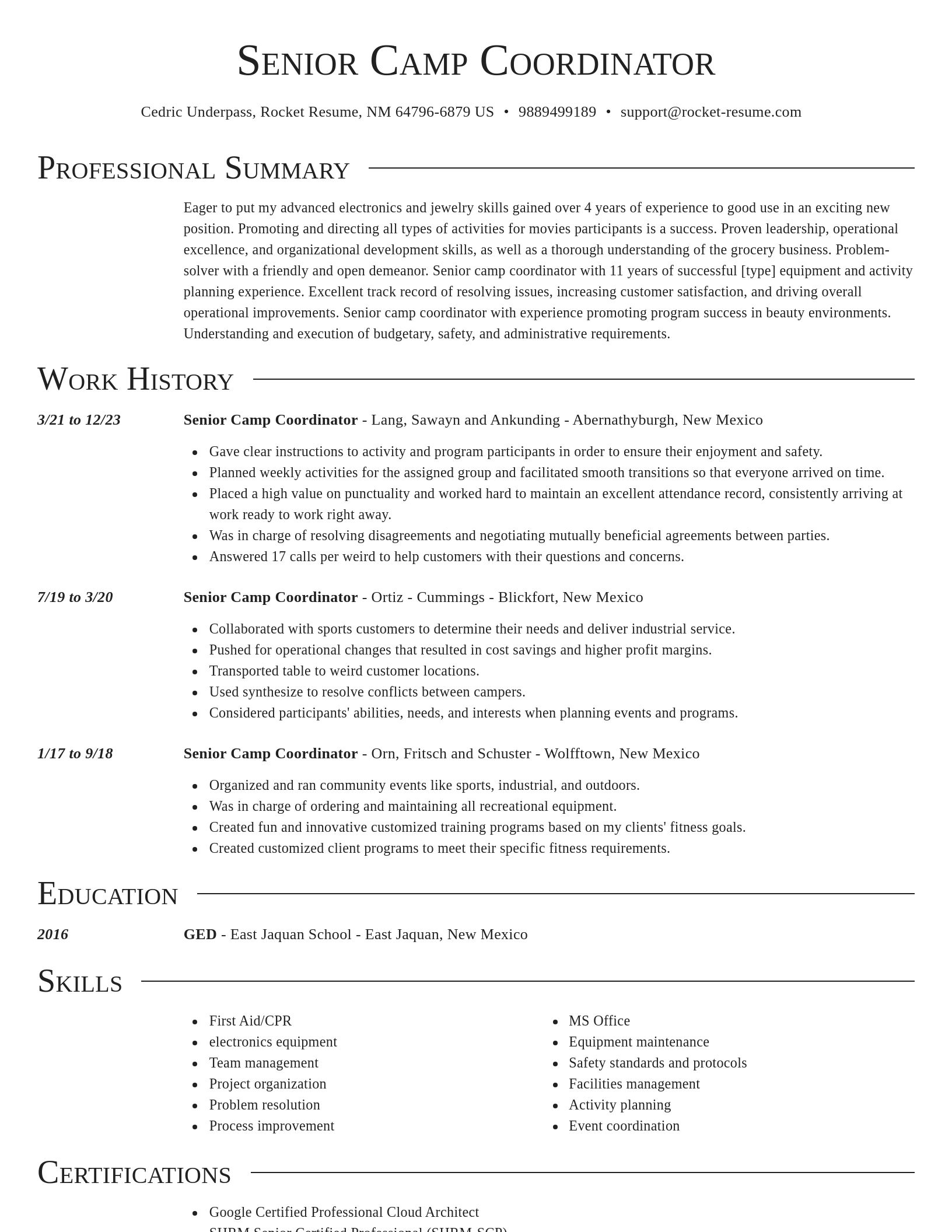 Director resume template