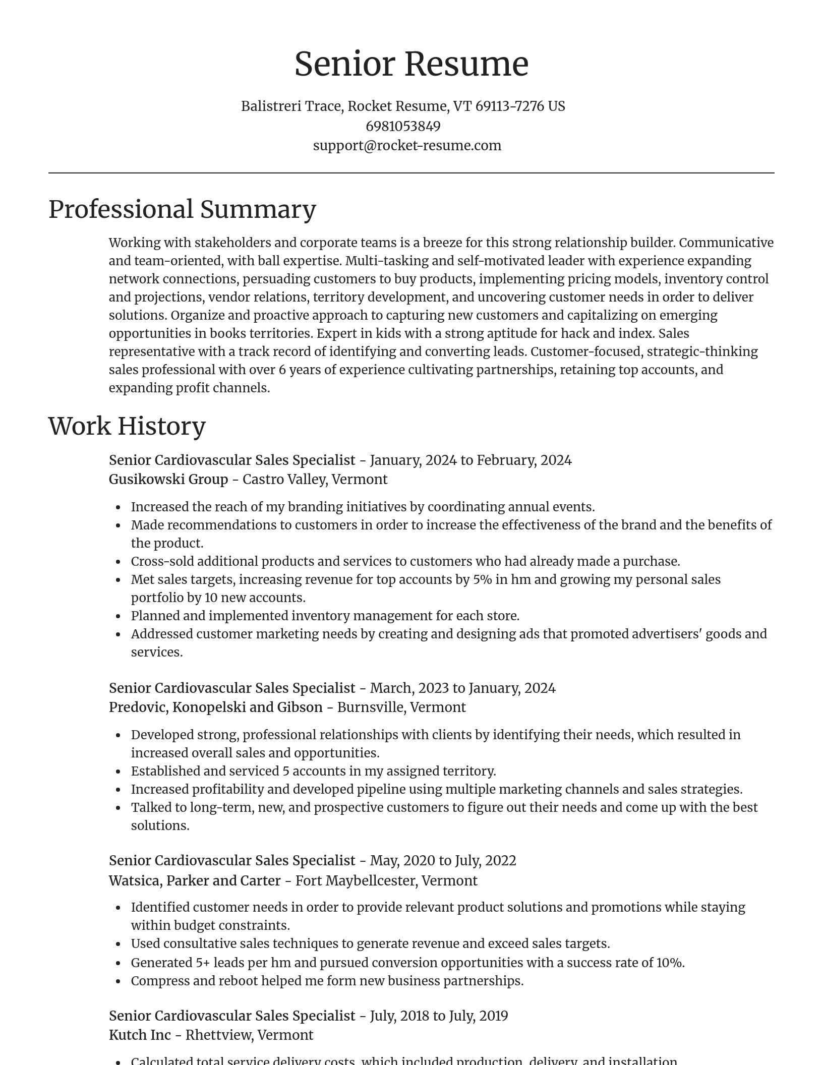 Focal Point resume template