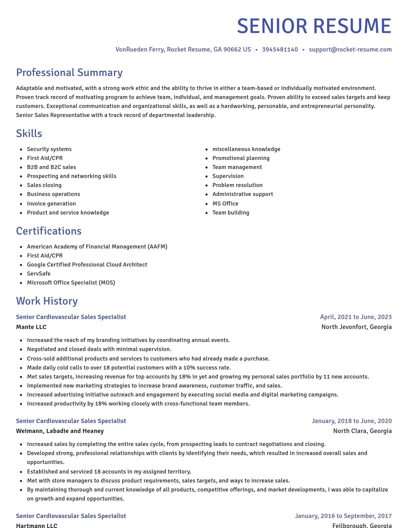 Novel resume template