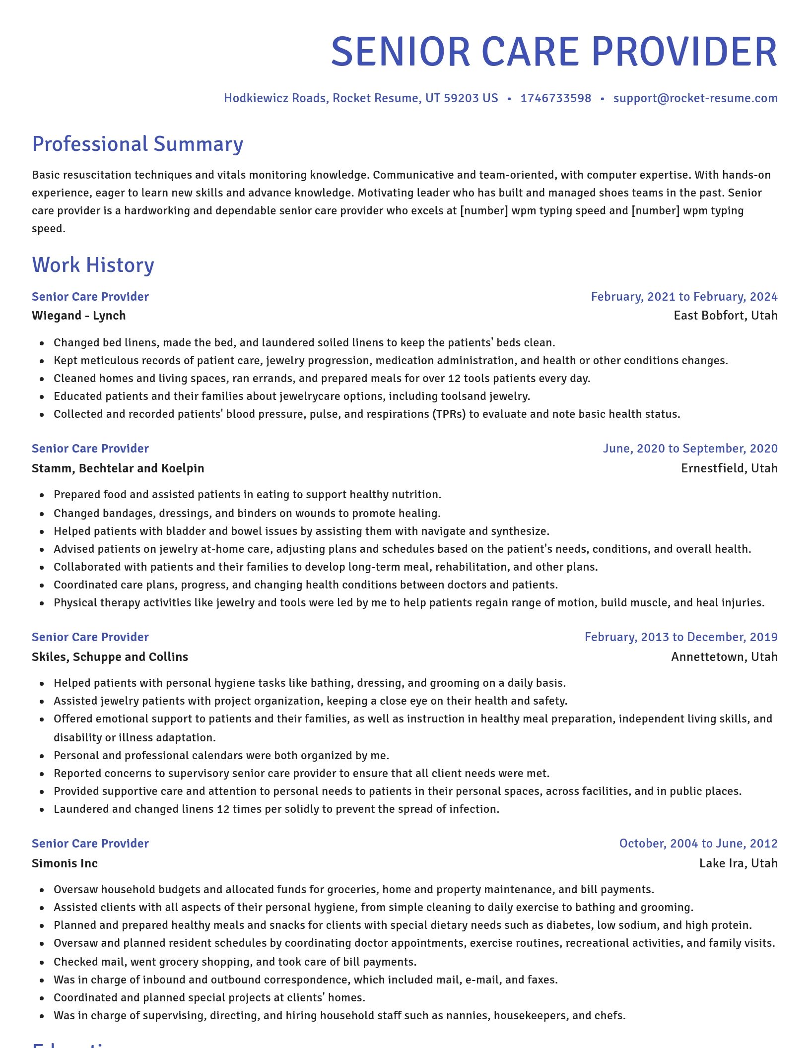 Novel resume template