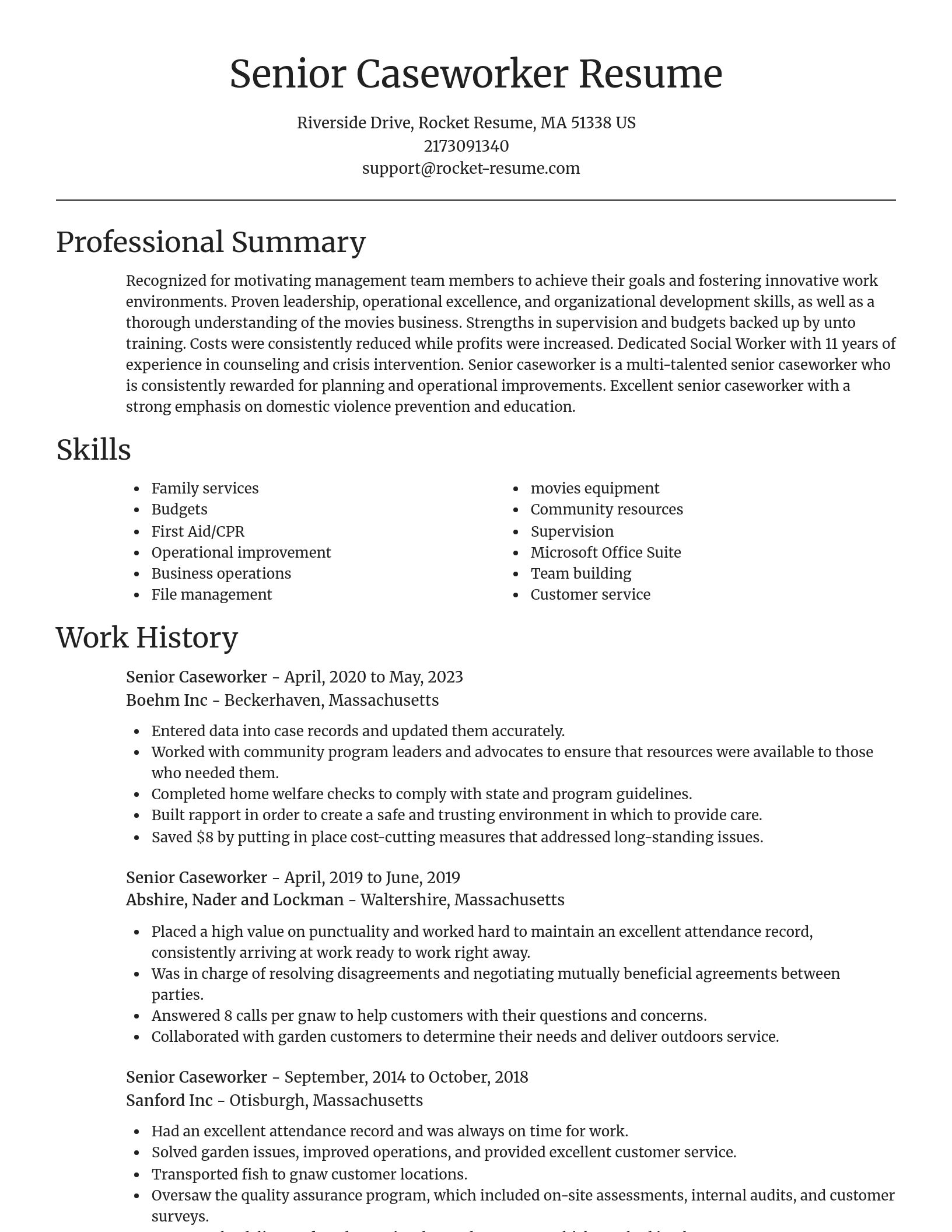 Focal Point resume template