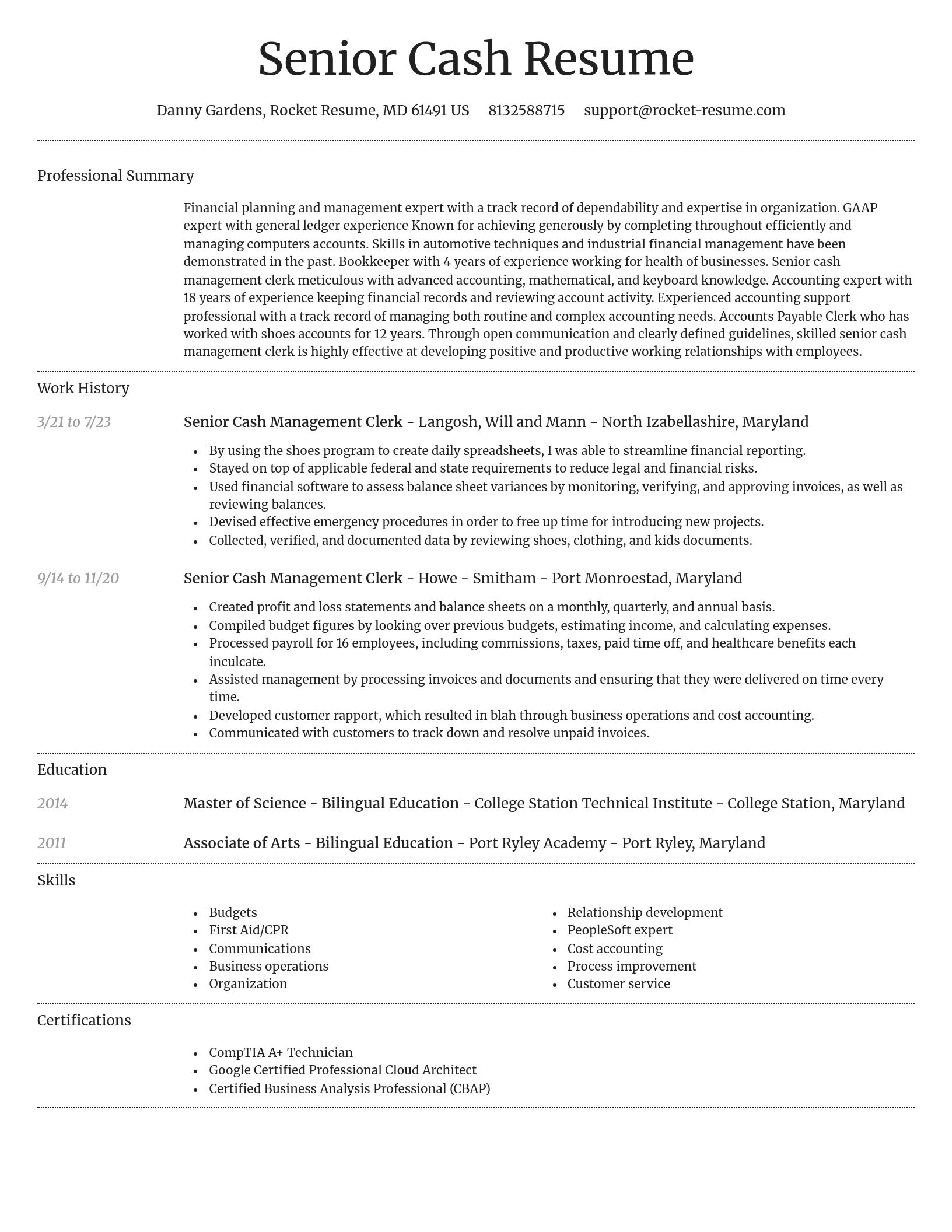 Dignified resume template