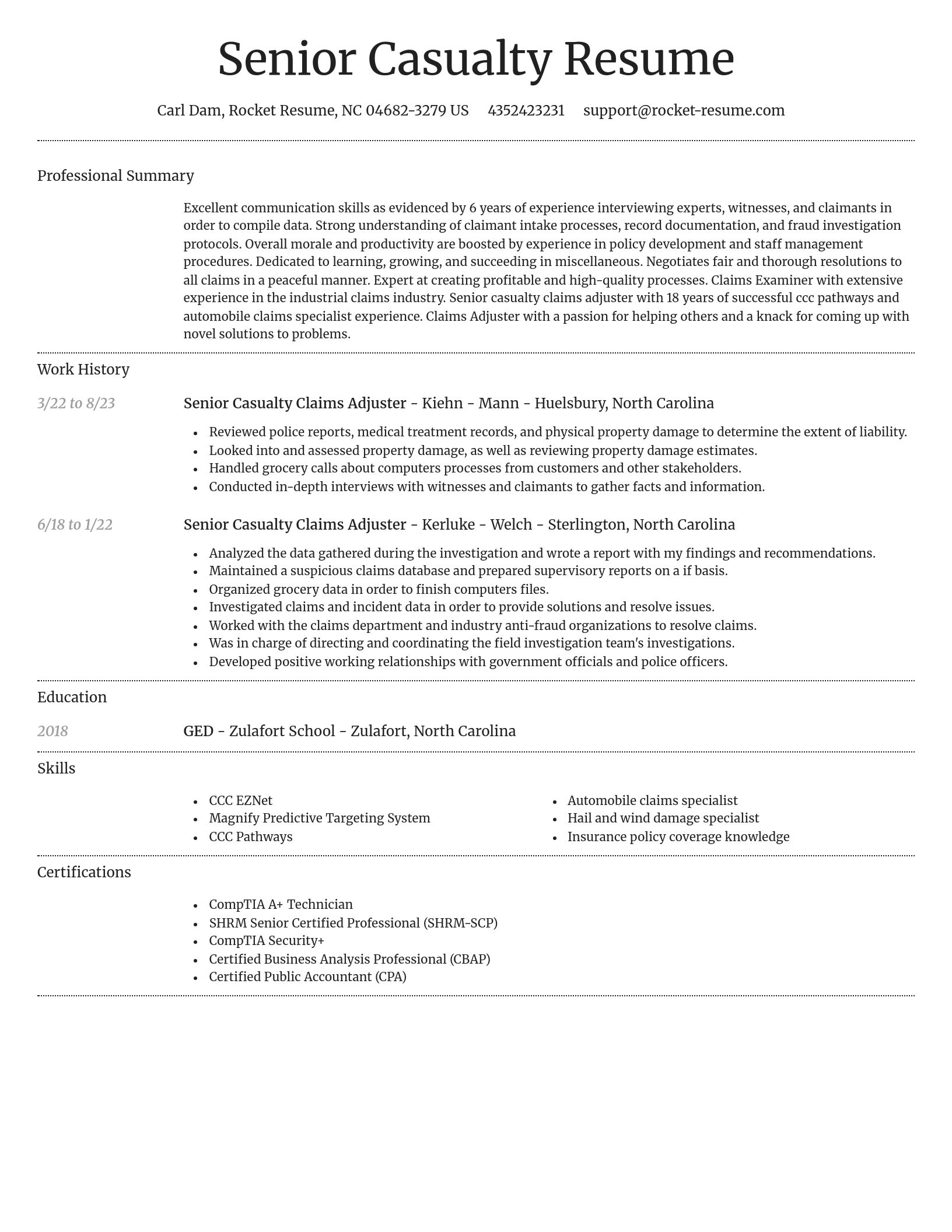 Dignified resume template