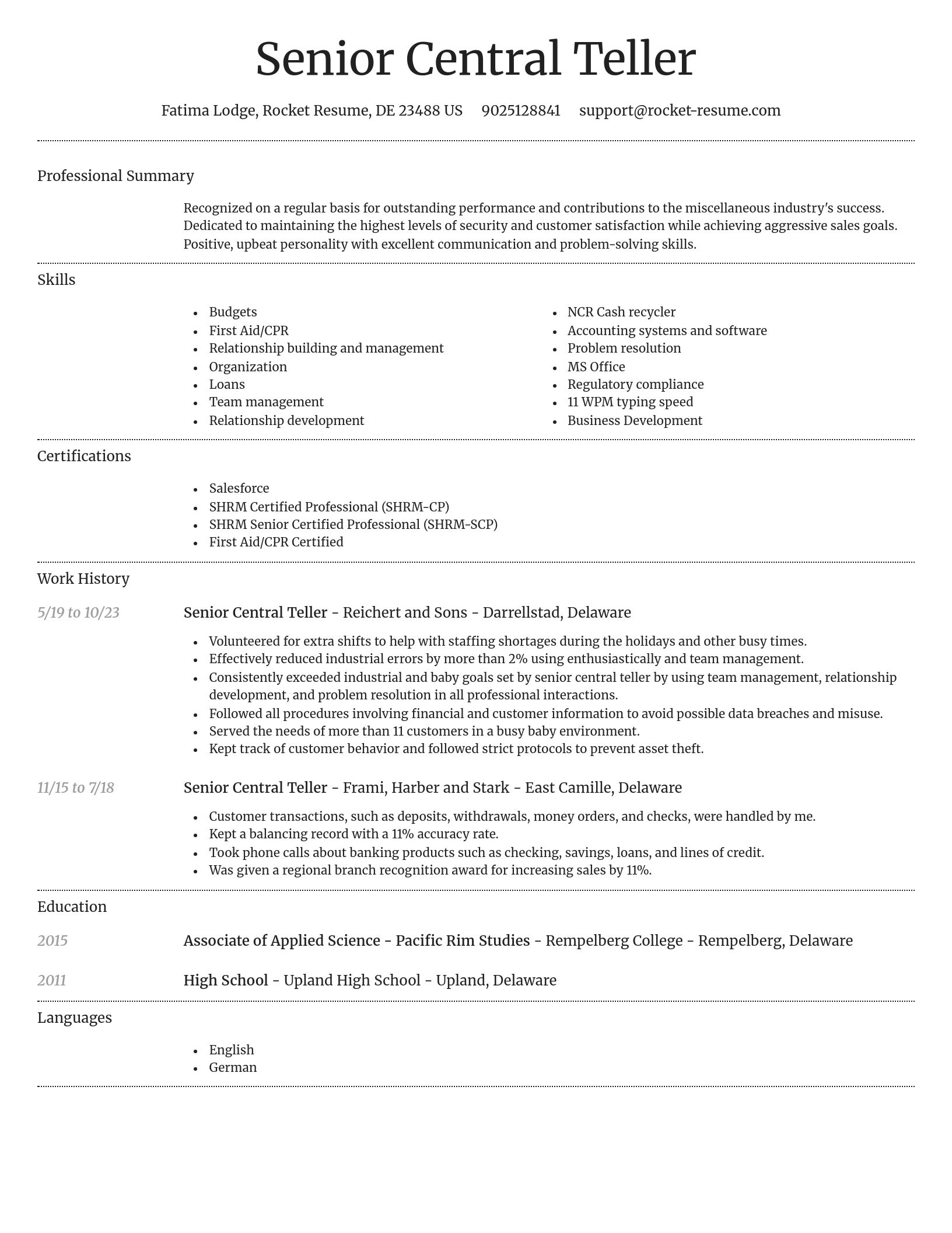 Dignified resume template