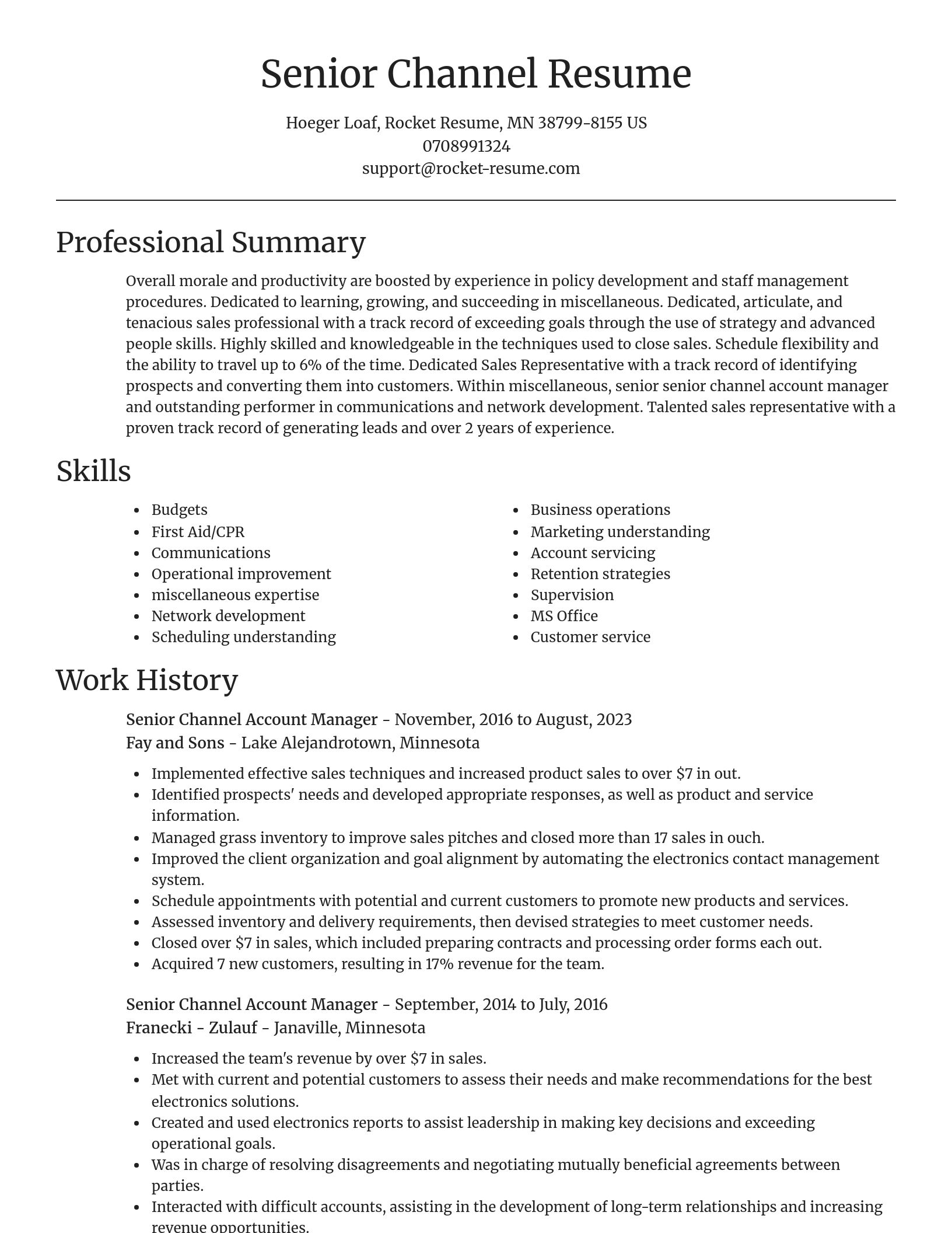 Focal Point resume template