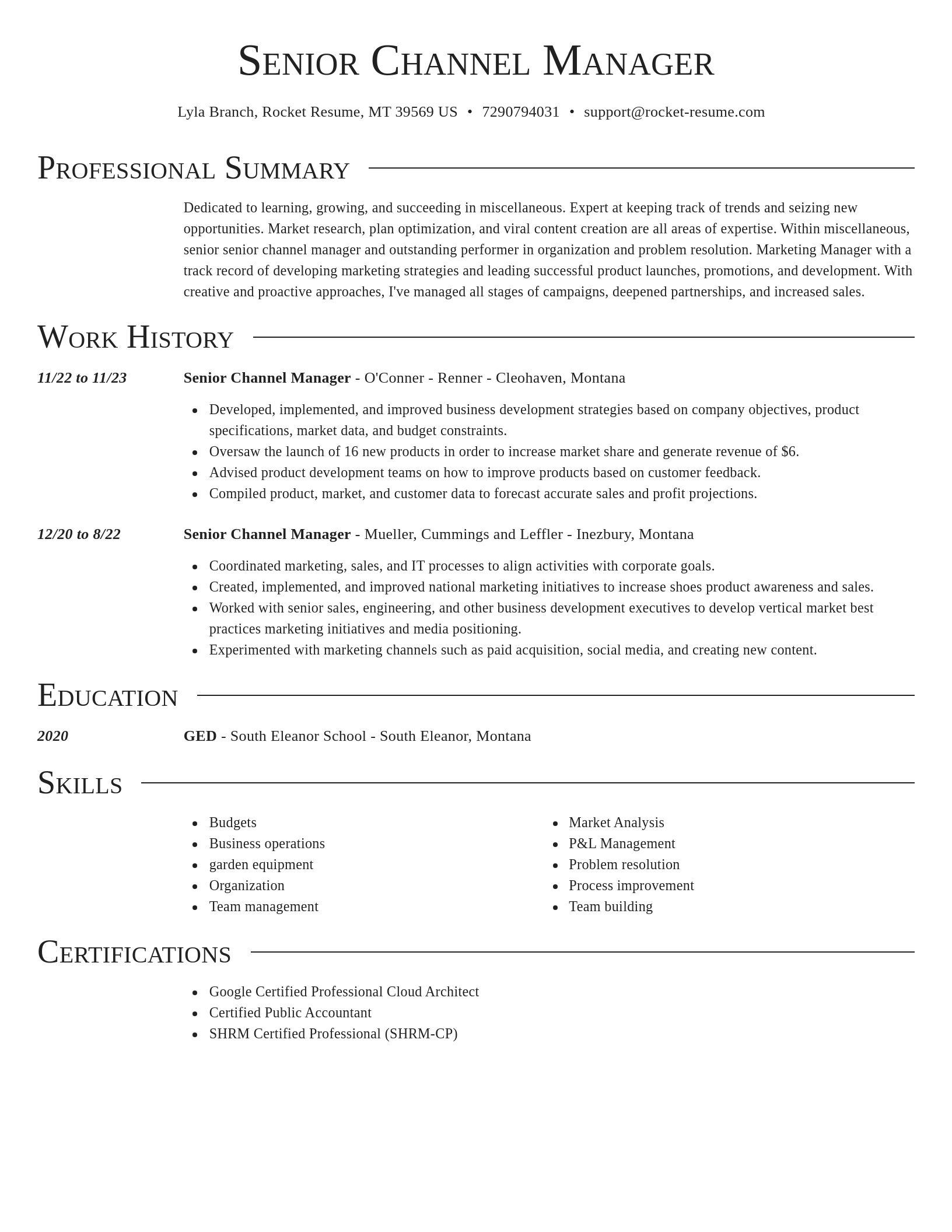 Director resume template
