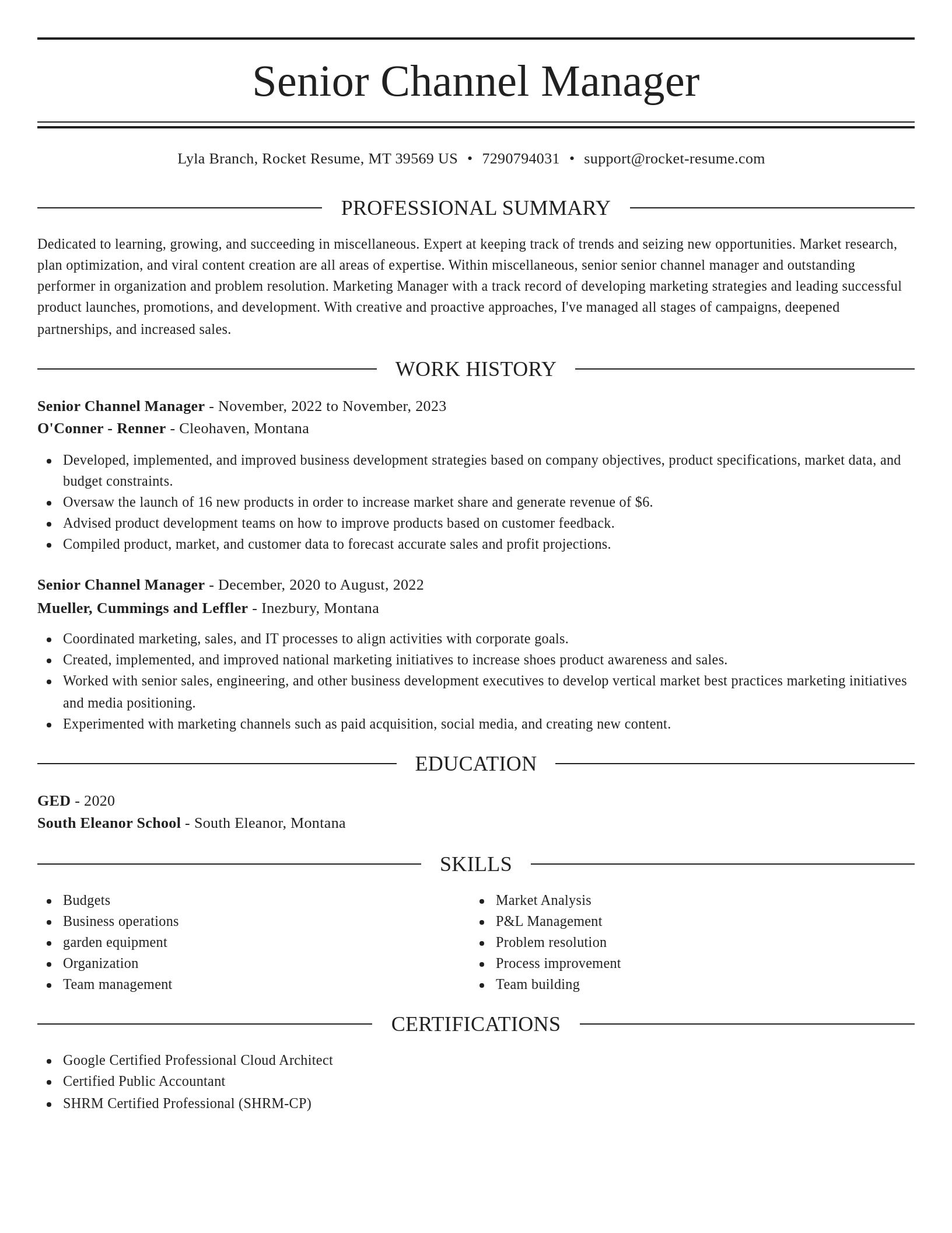Elegant resume template