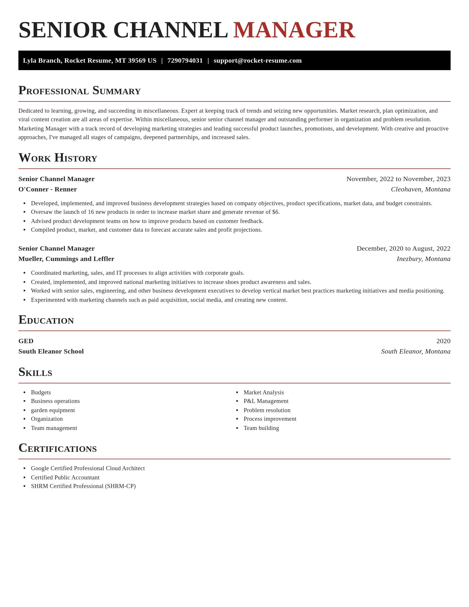 Exquisite resume template