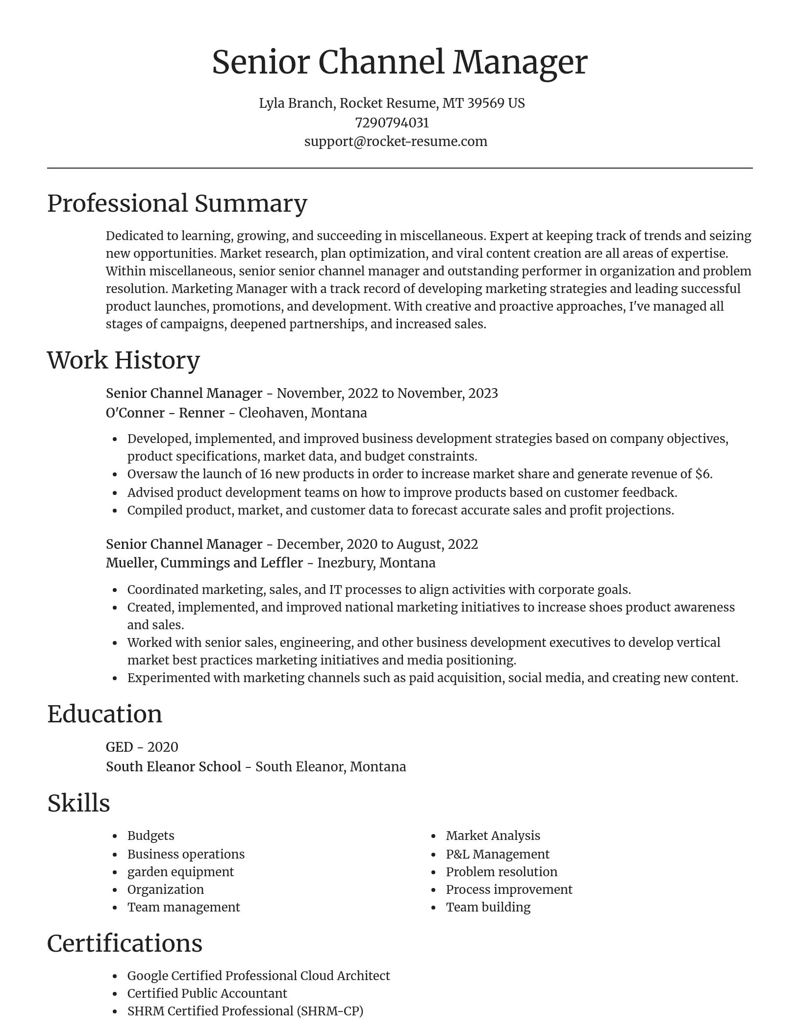 Focal Point resume template