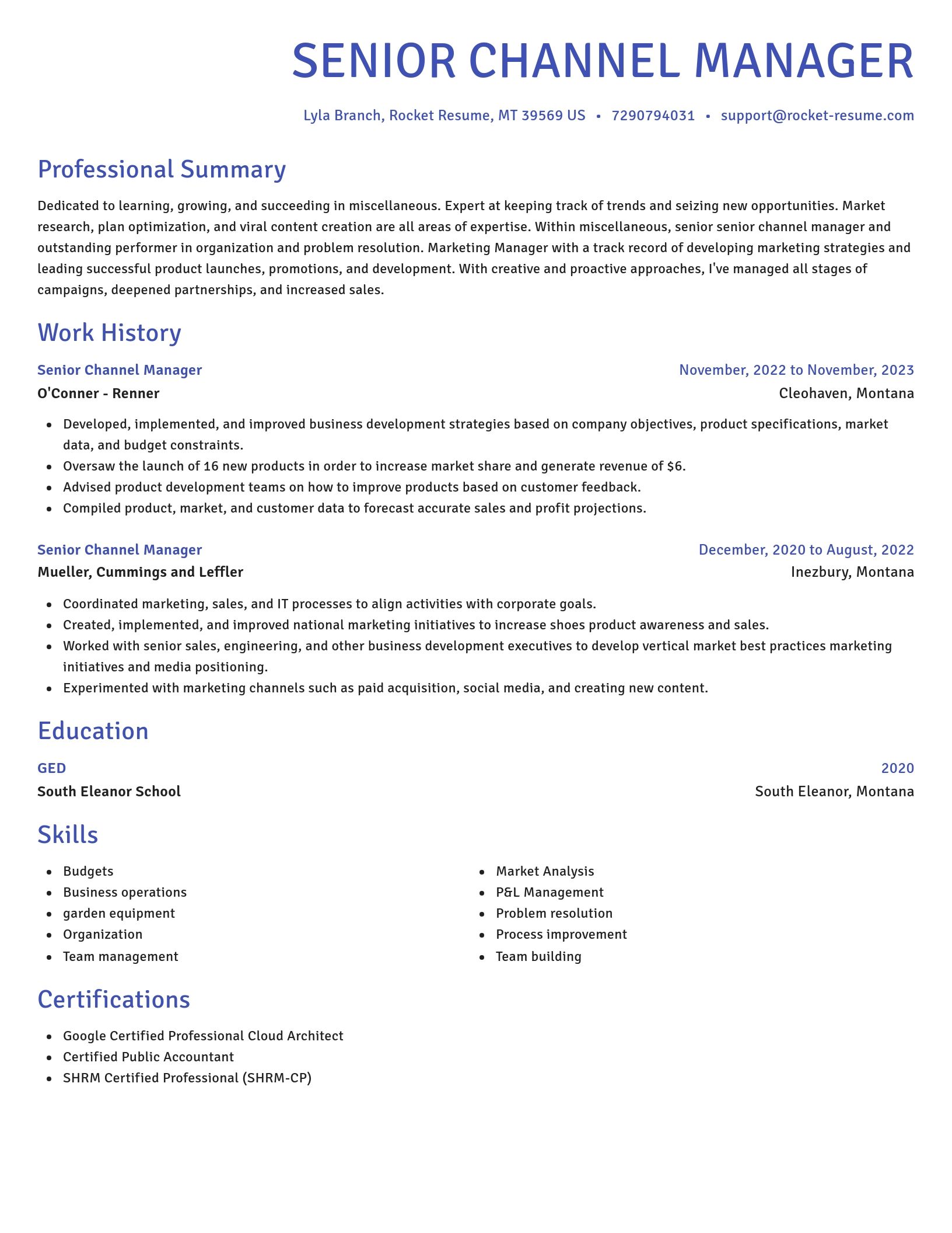 Novel resume template