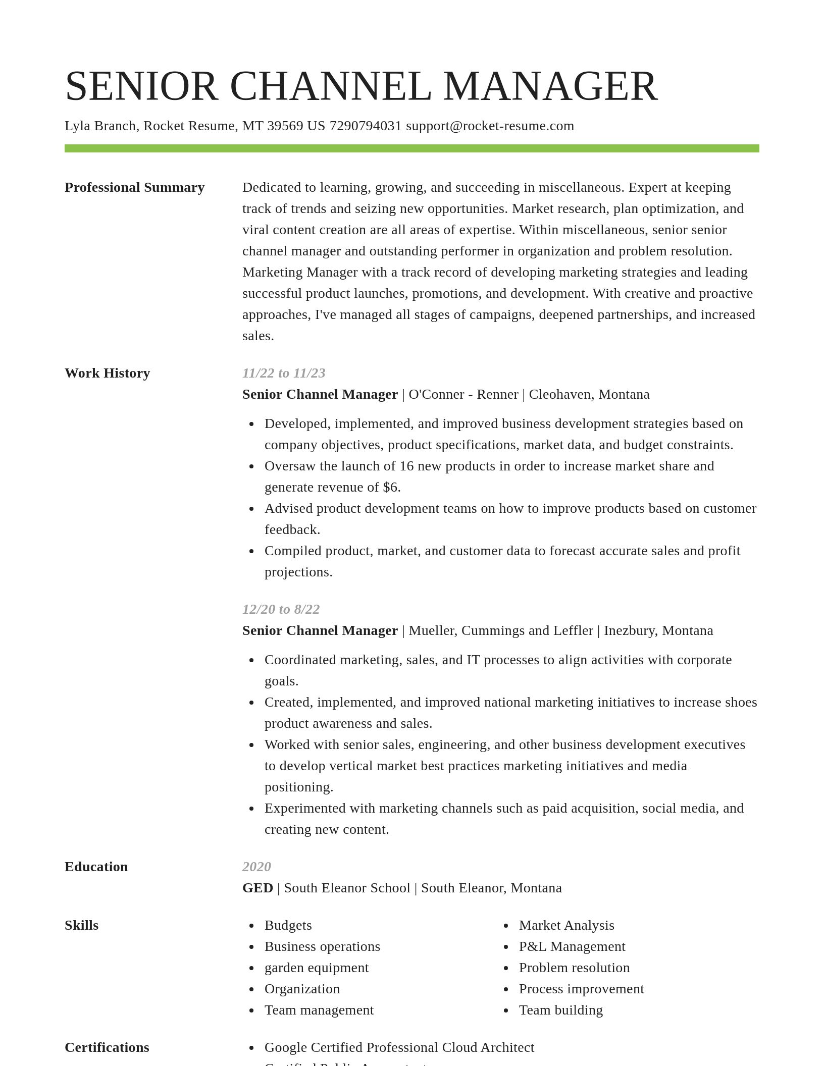 Smart resume template
