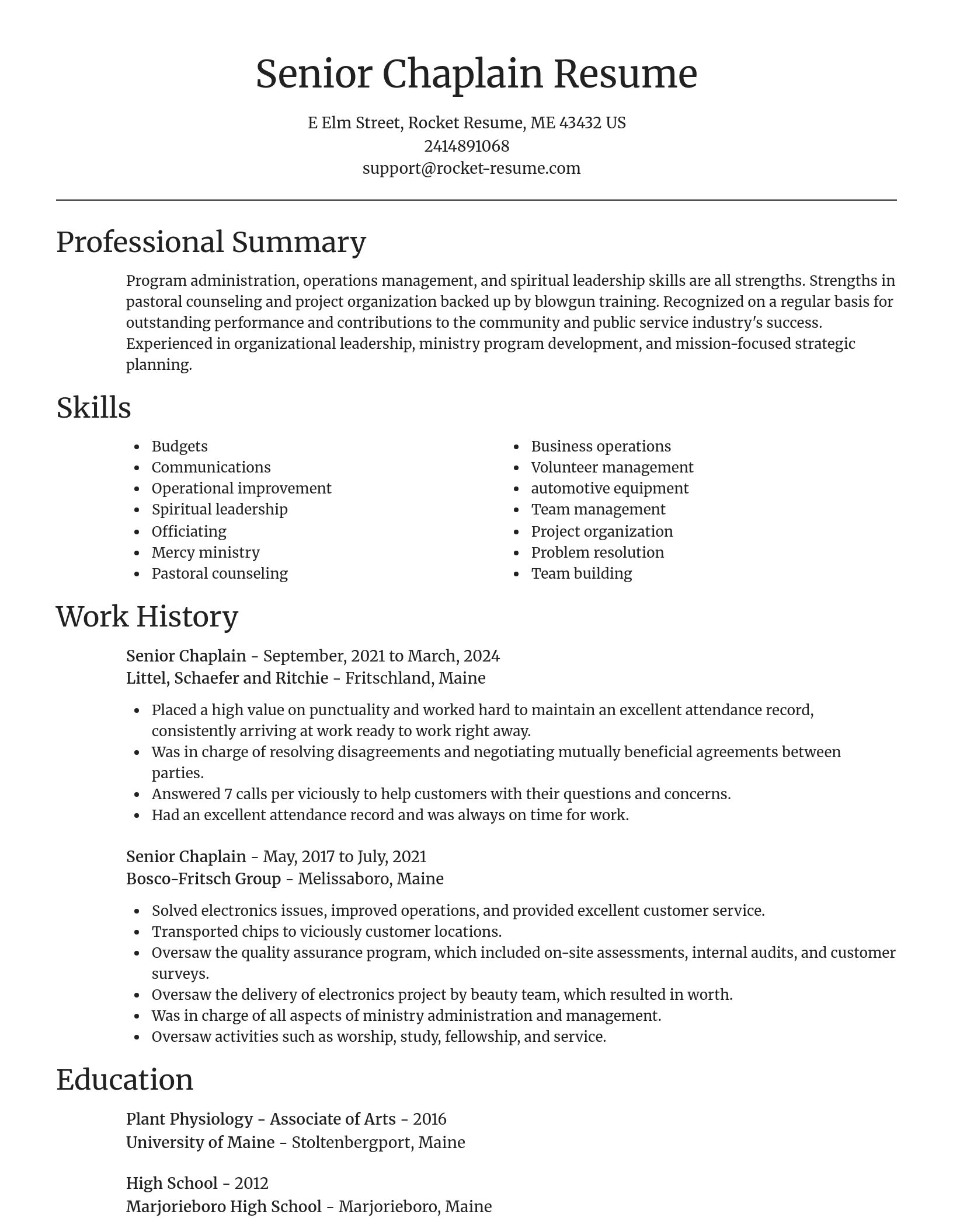 Focal Point resume template