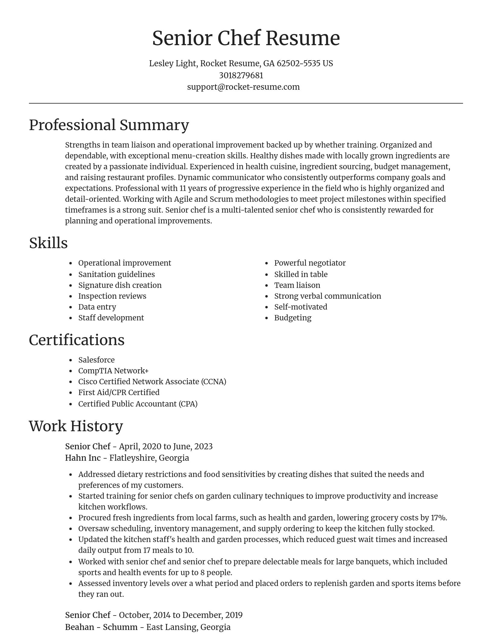 Focal Point resume template