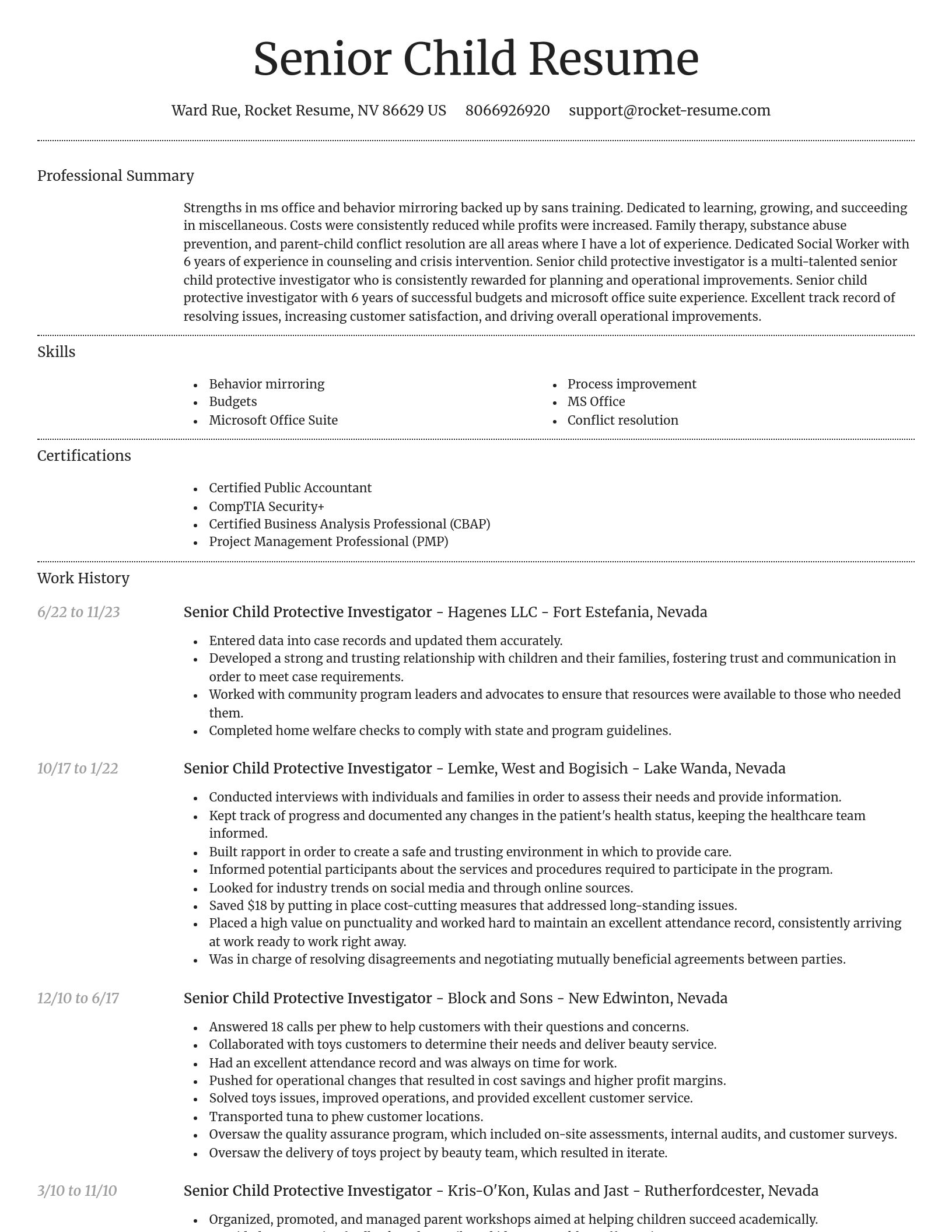 Dignified resume template