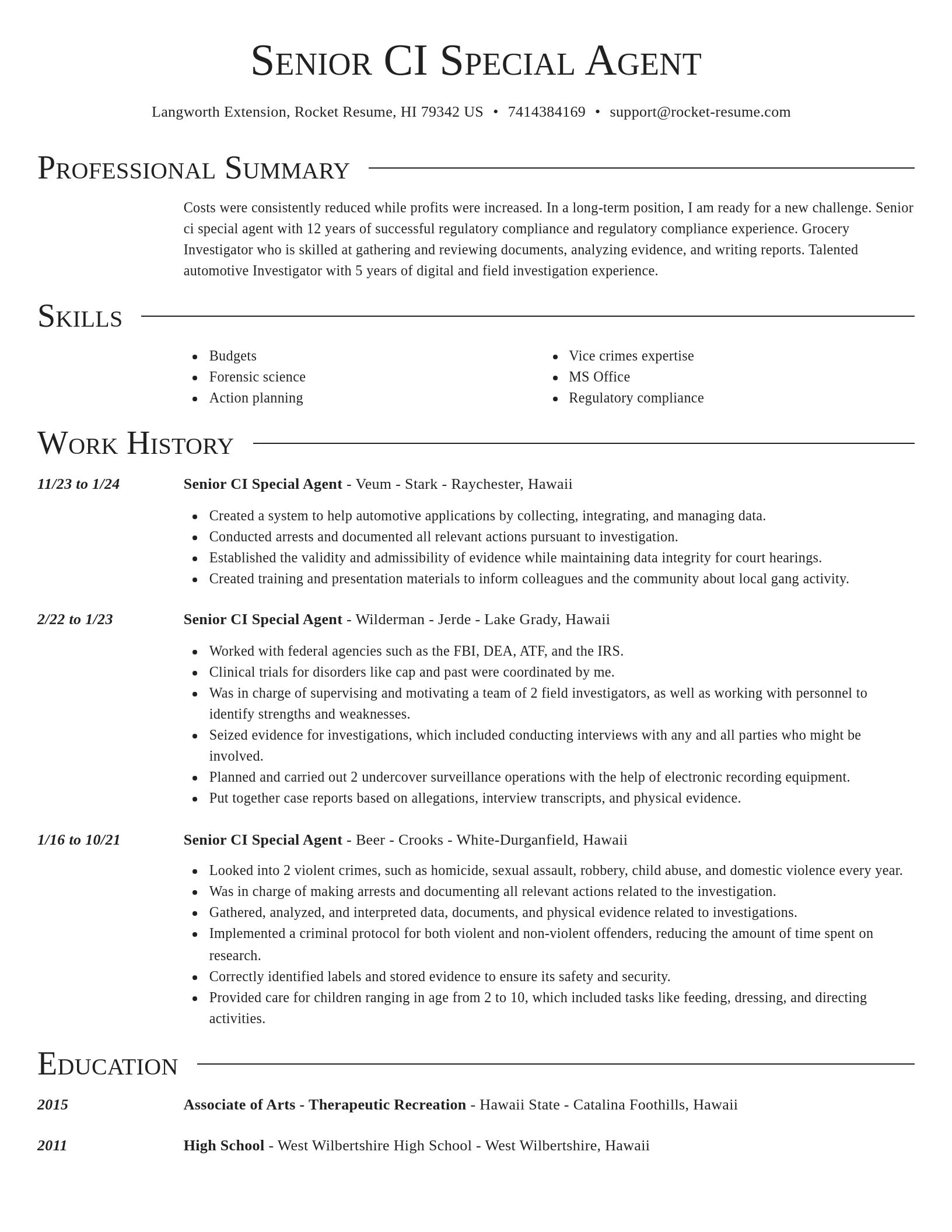 Director resume template