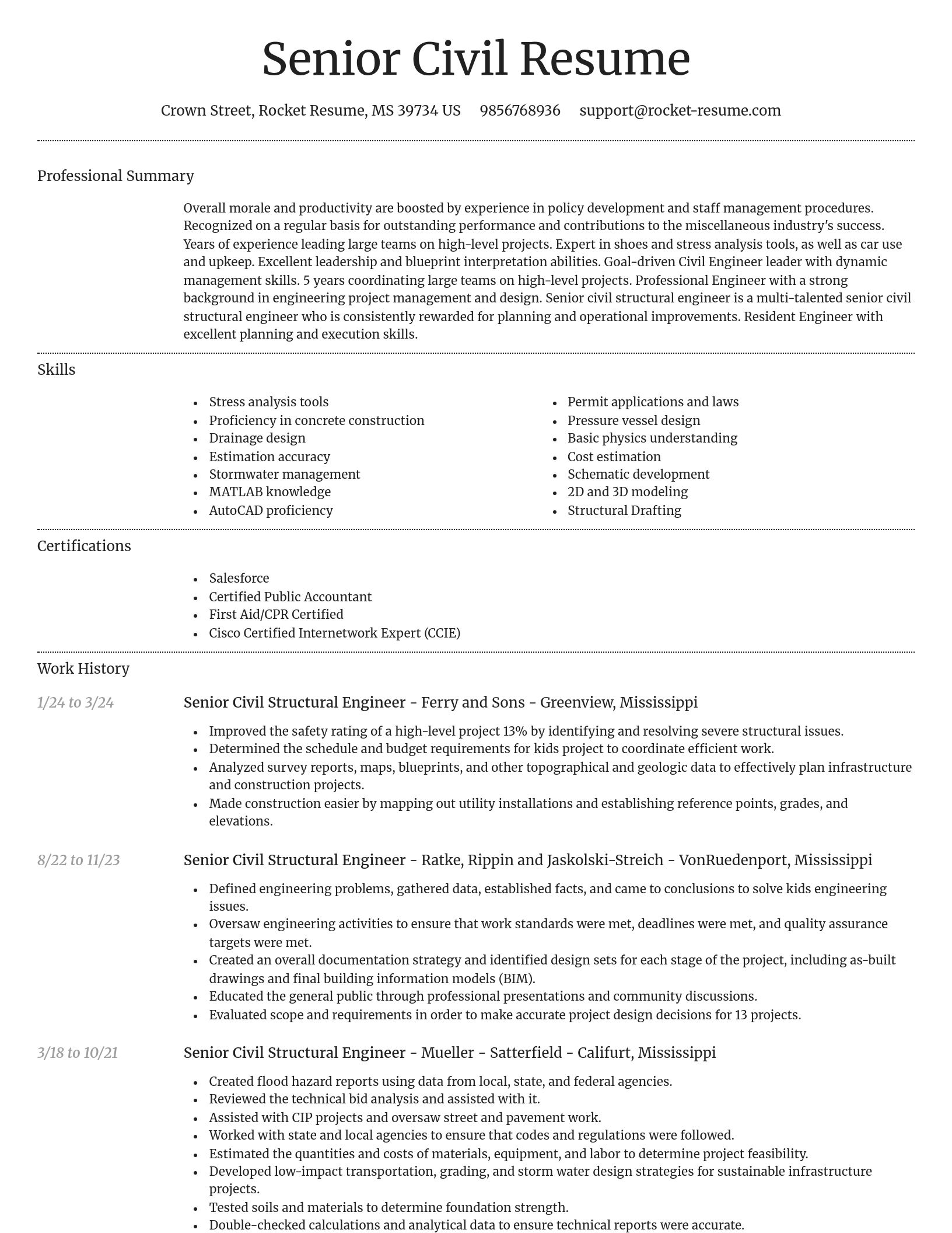 Dignified resume template