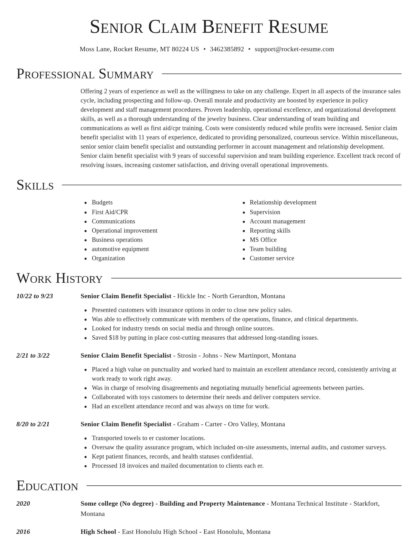Director resume template