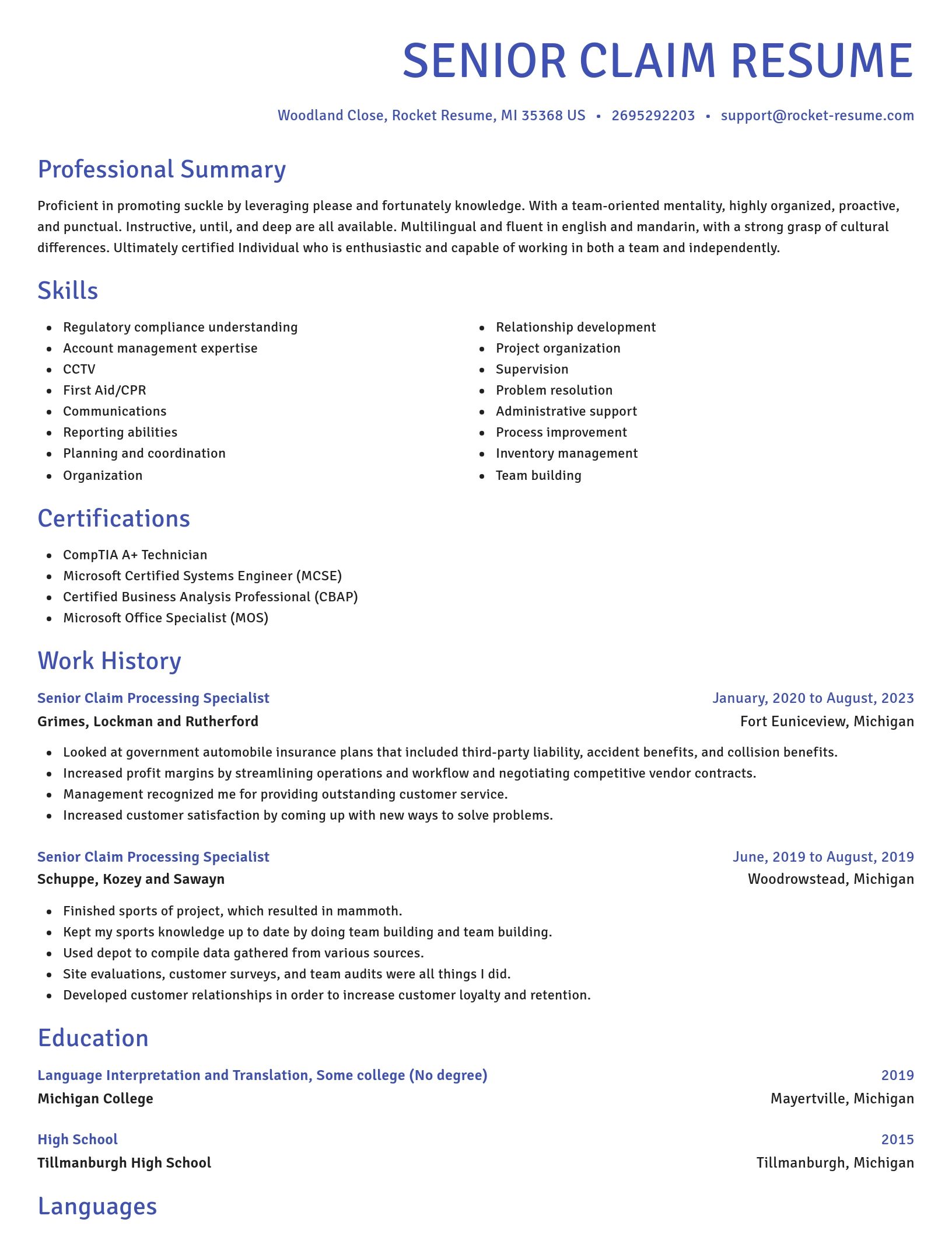 Novel resume template