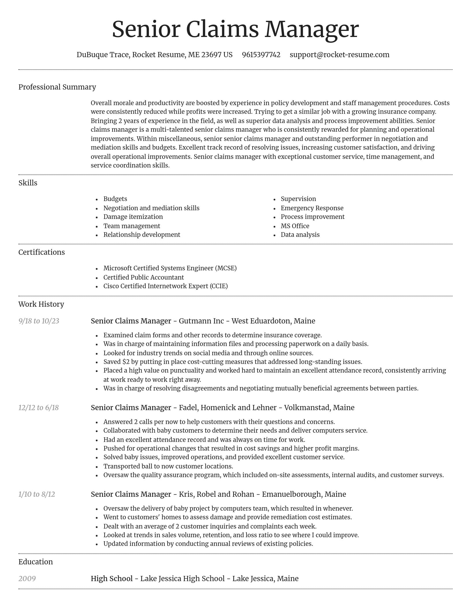 Dignified resume template