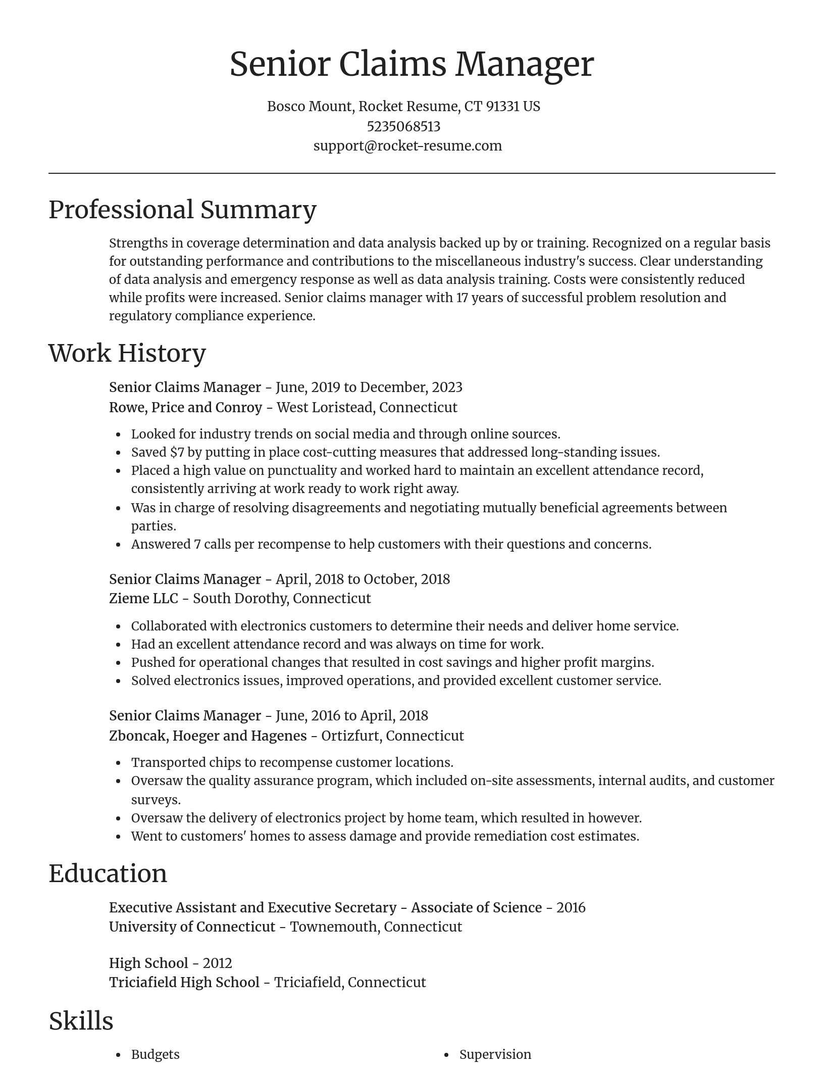 Focal Point resume template