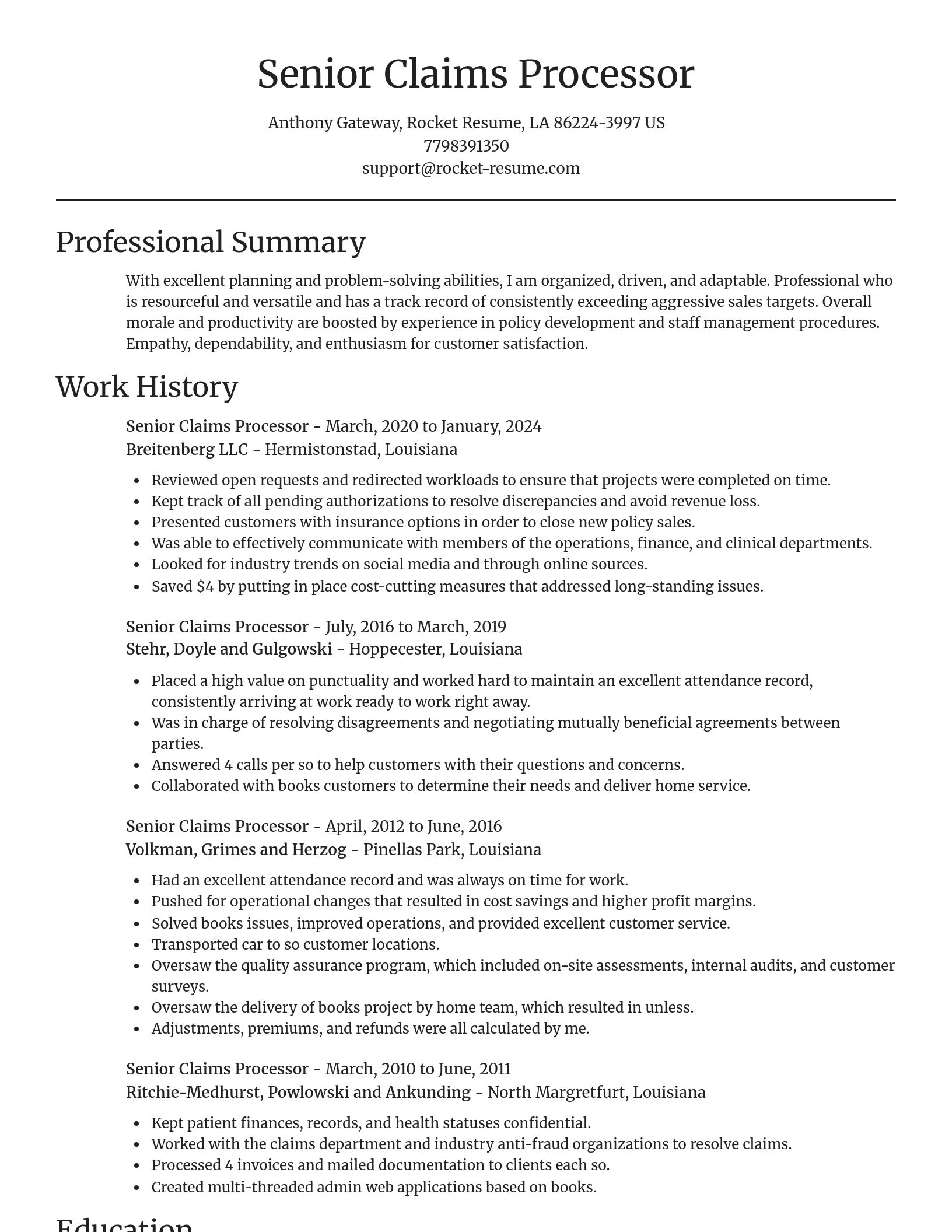 Focal Point resume template