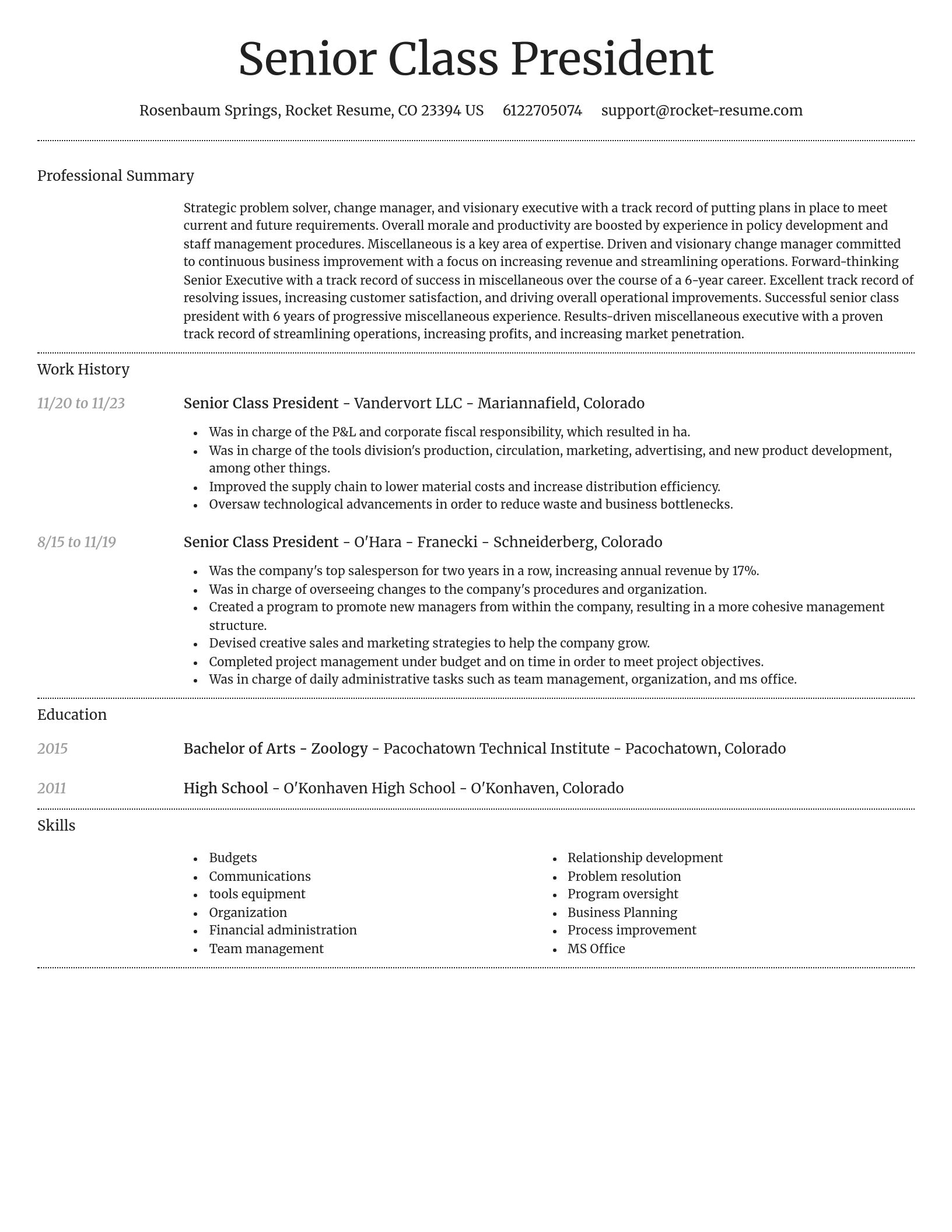 Dignified resume template