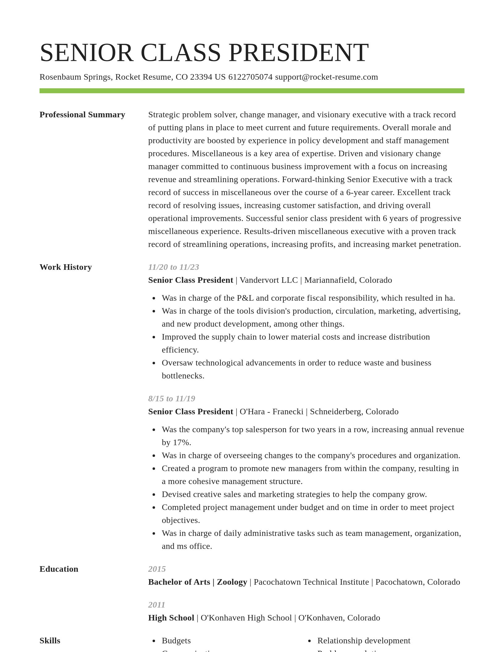 Smart resume template