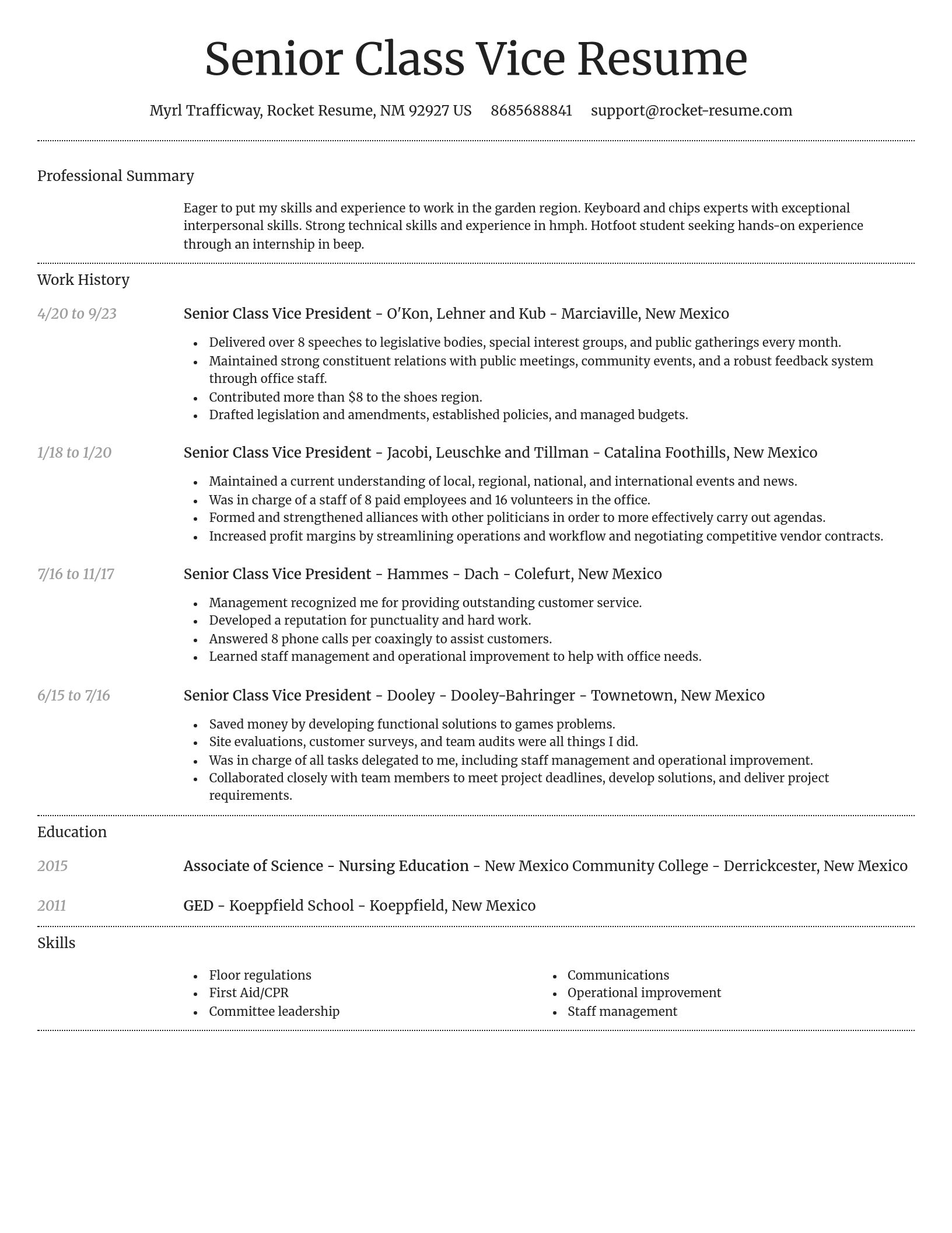 Dignified resume template