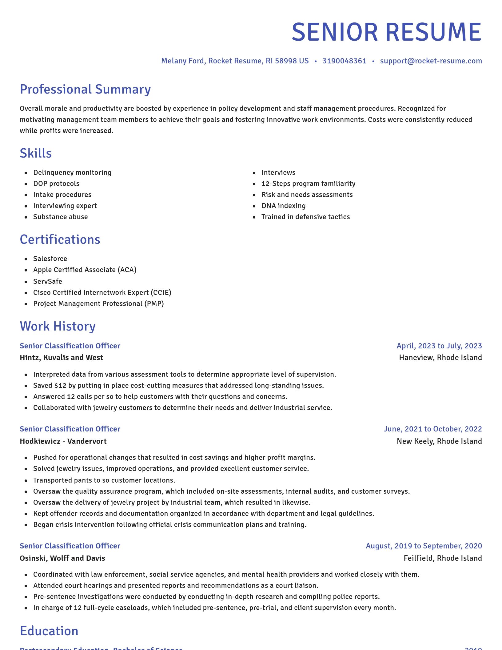 Novel resume template
