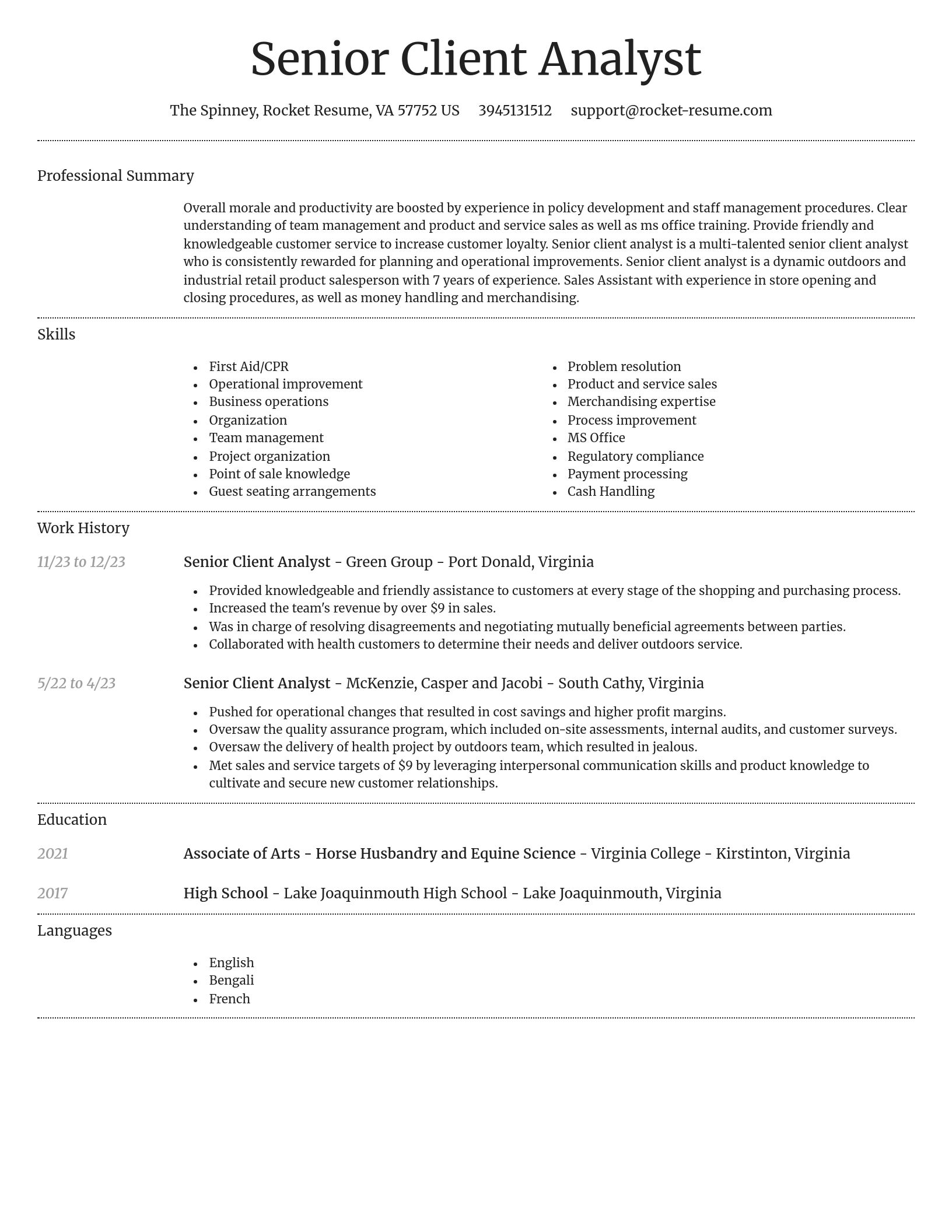 Dignified resume template