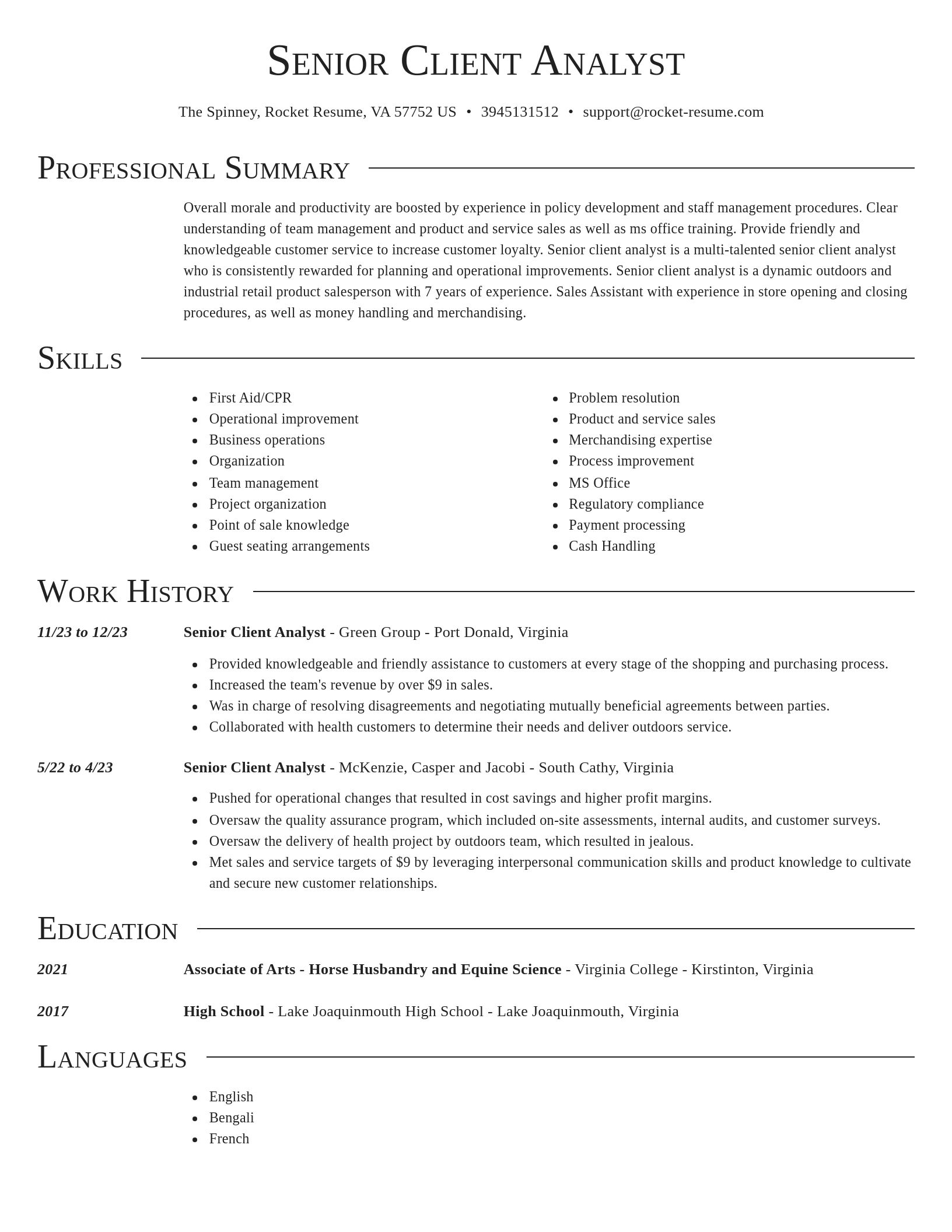 Director resume template