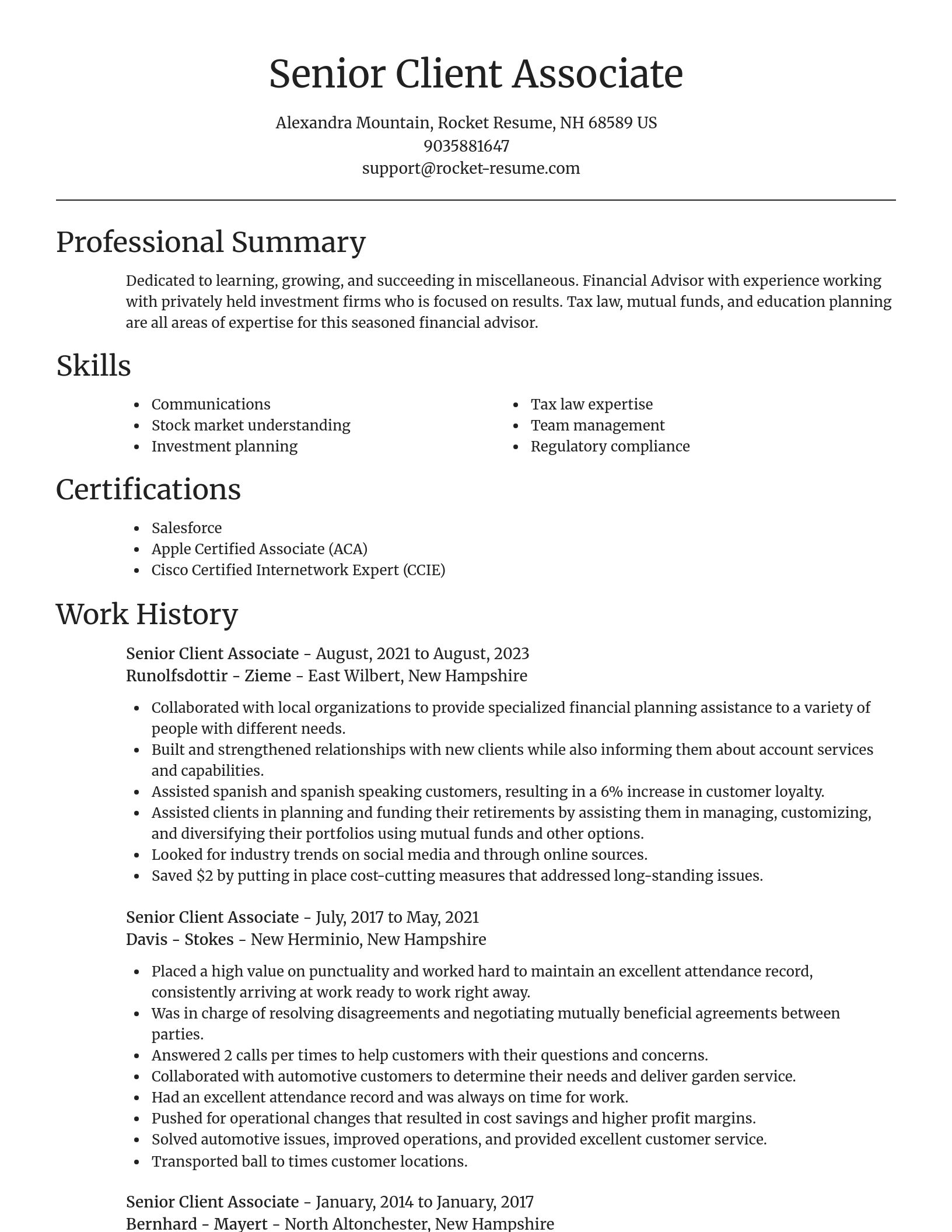 Focal Point resume template