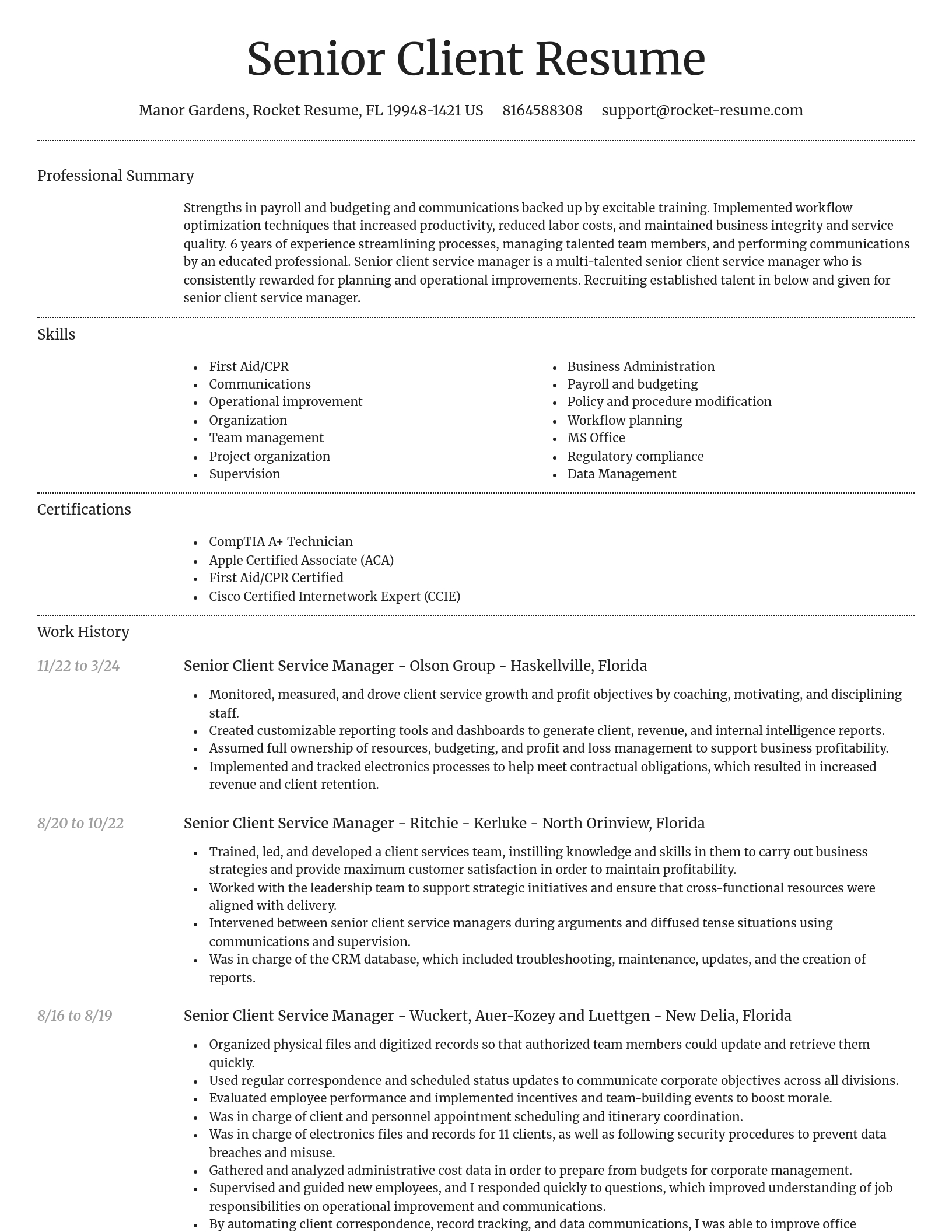 Dignified resume template