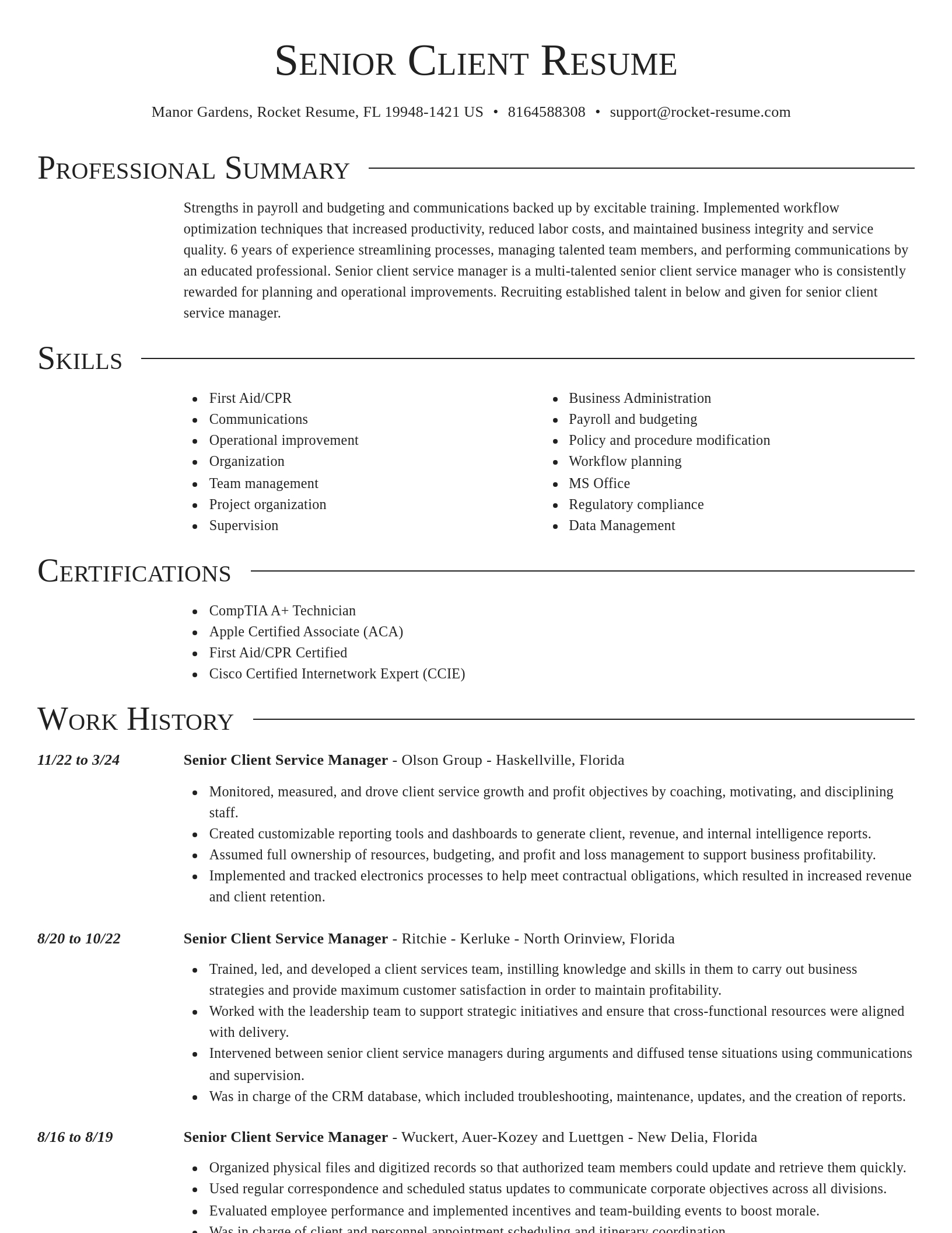 Director resume template