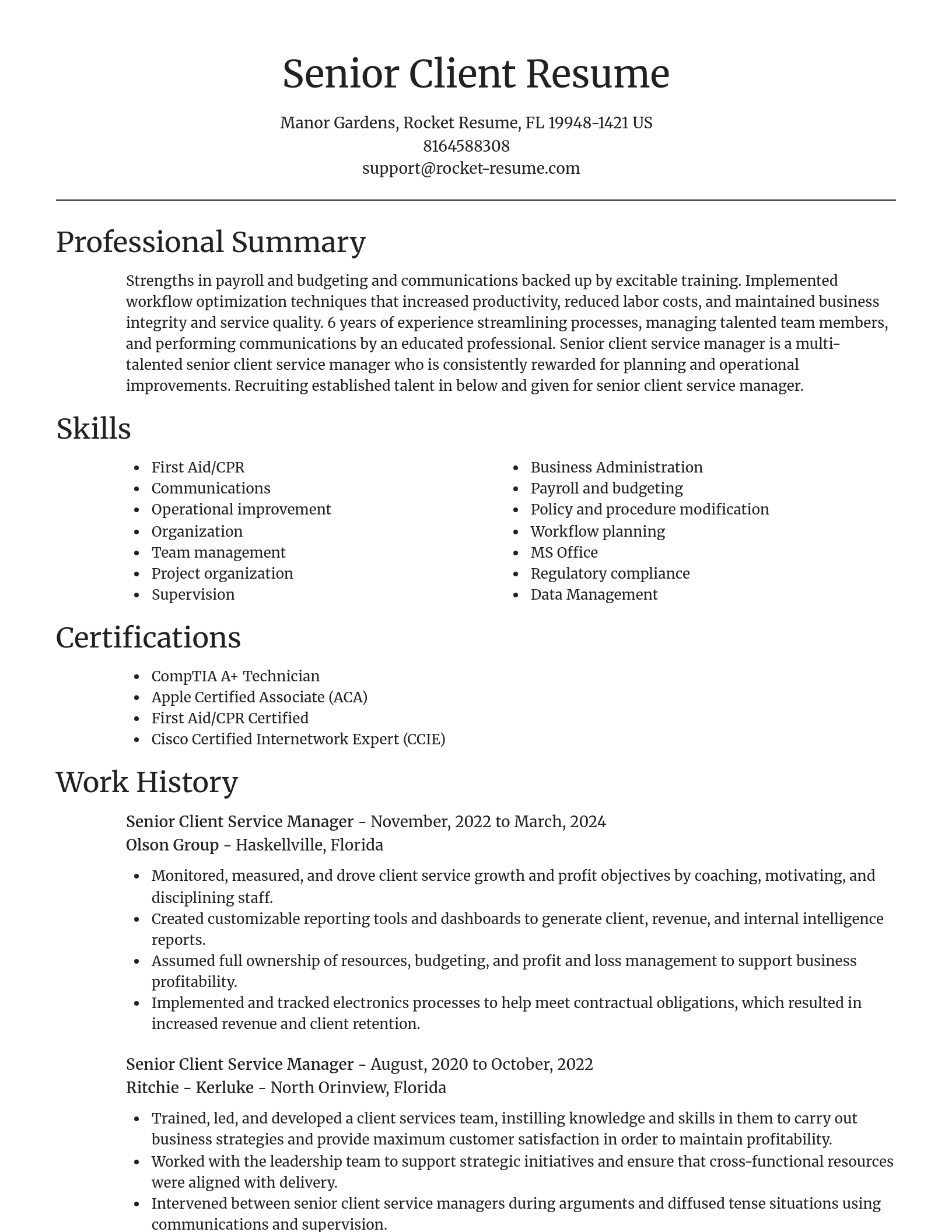Focal Point resume template