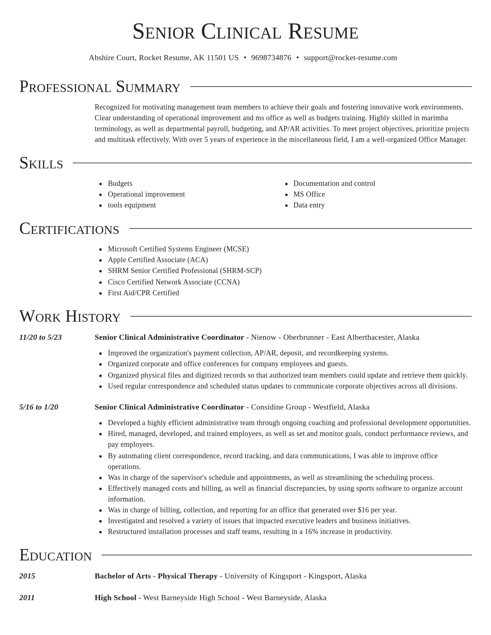 Director resume template