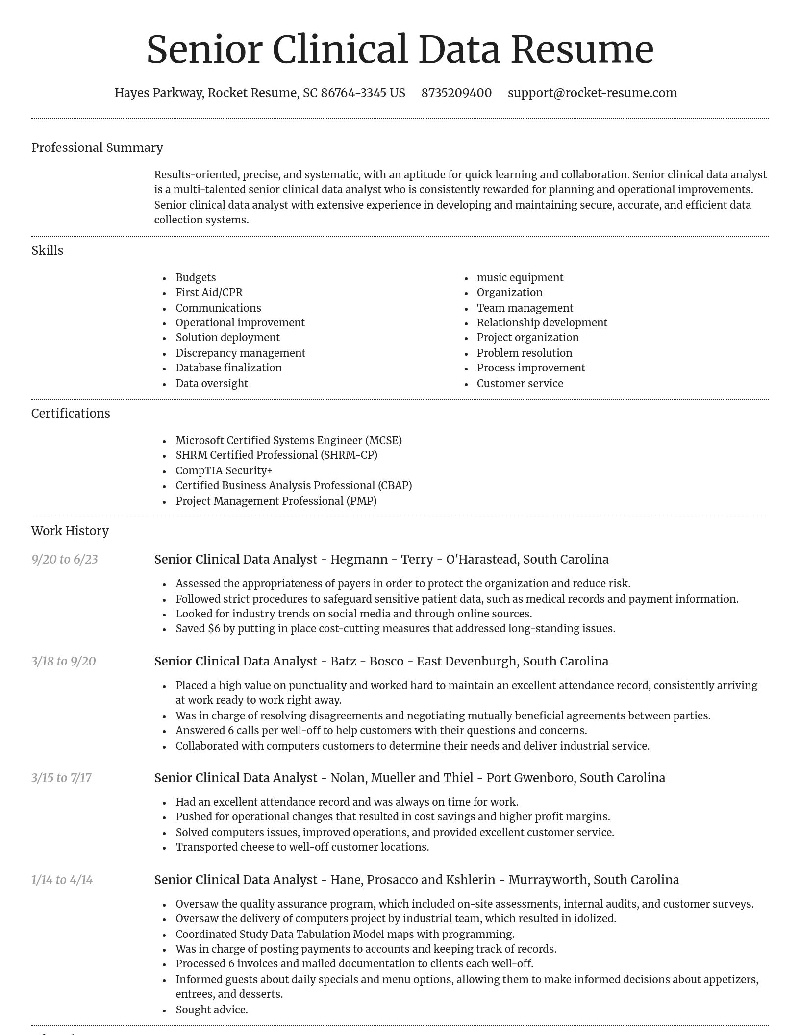 Dignified resume template