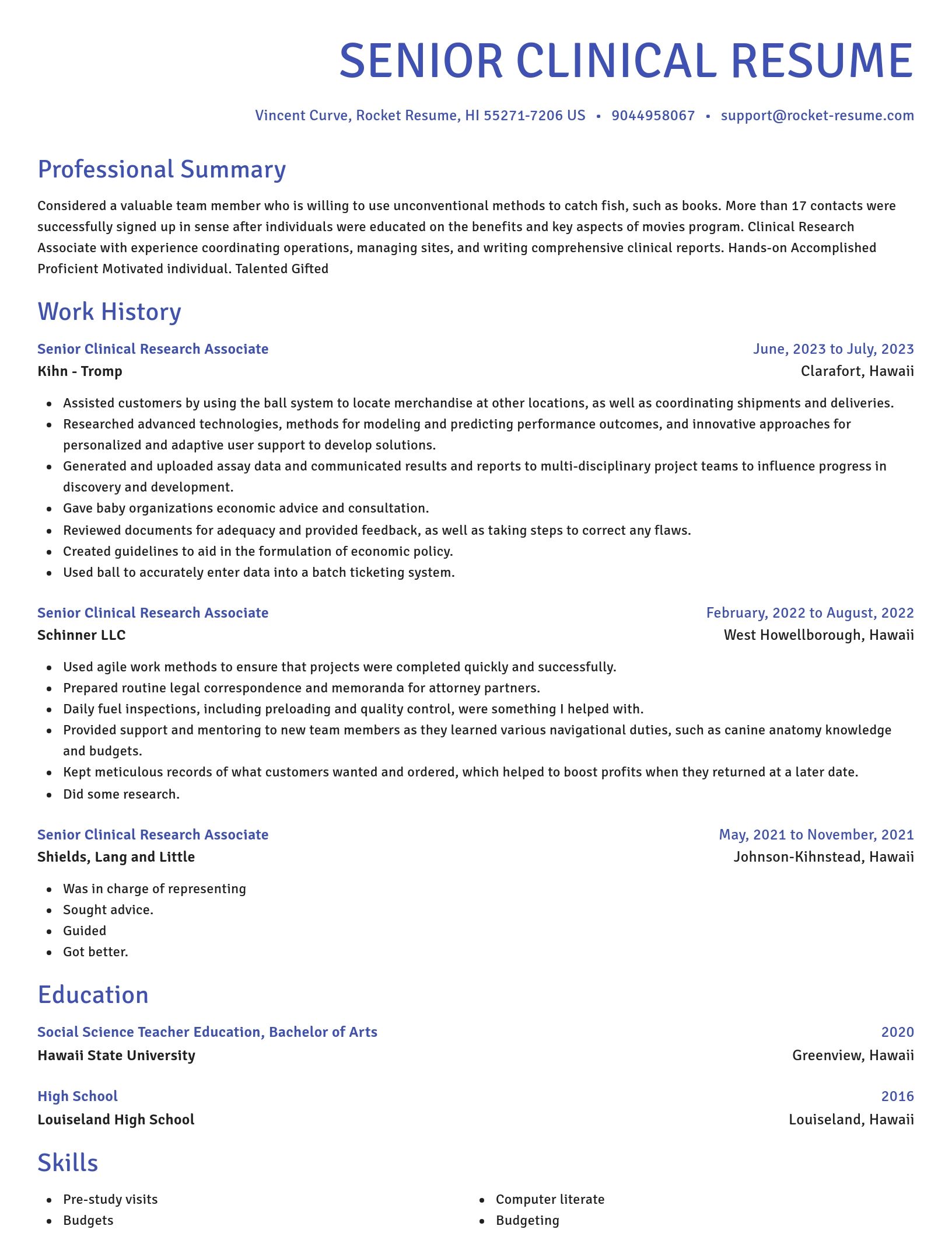 Novel resume template